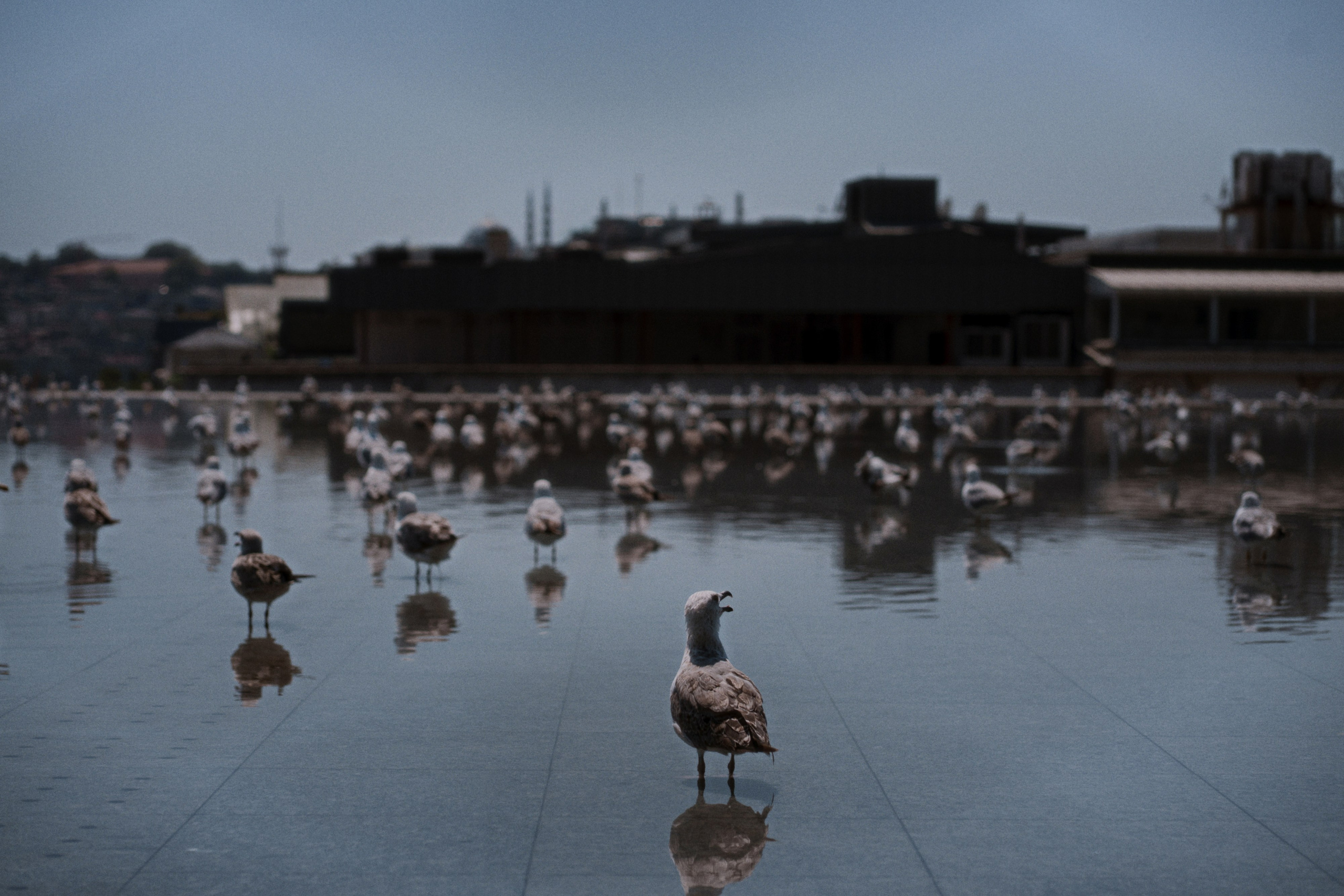 Istanbul Modern. Фотограф Юрин Евгений