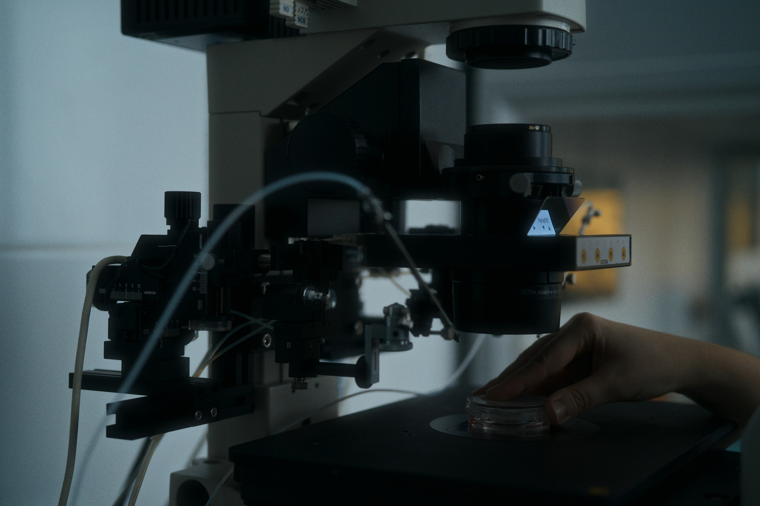 Cl laboratory. Фотограф Юрин Евгений