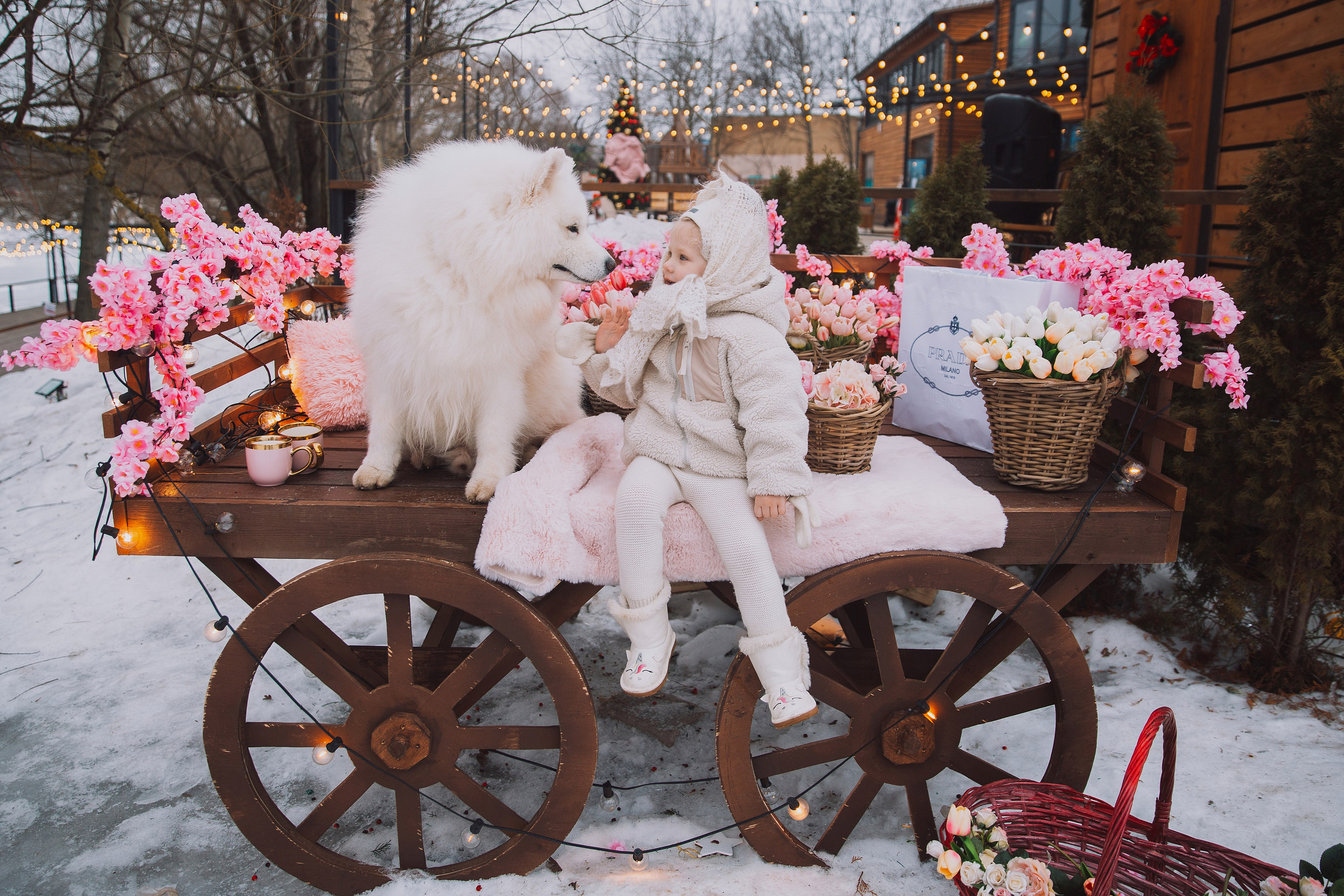 Детки и Родители. Фотограф ваших самых ярких событий в Москве и СПБ. Збронская Юлия