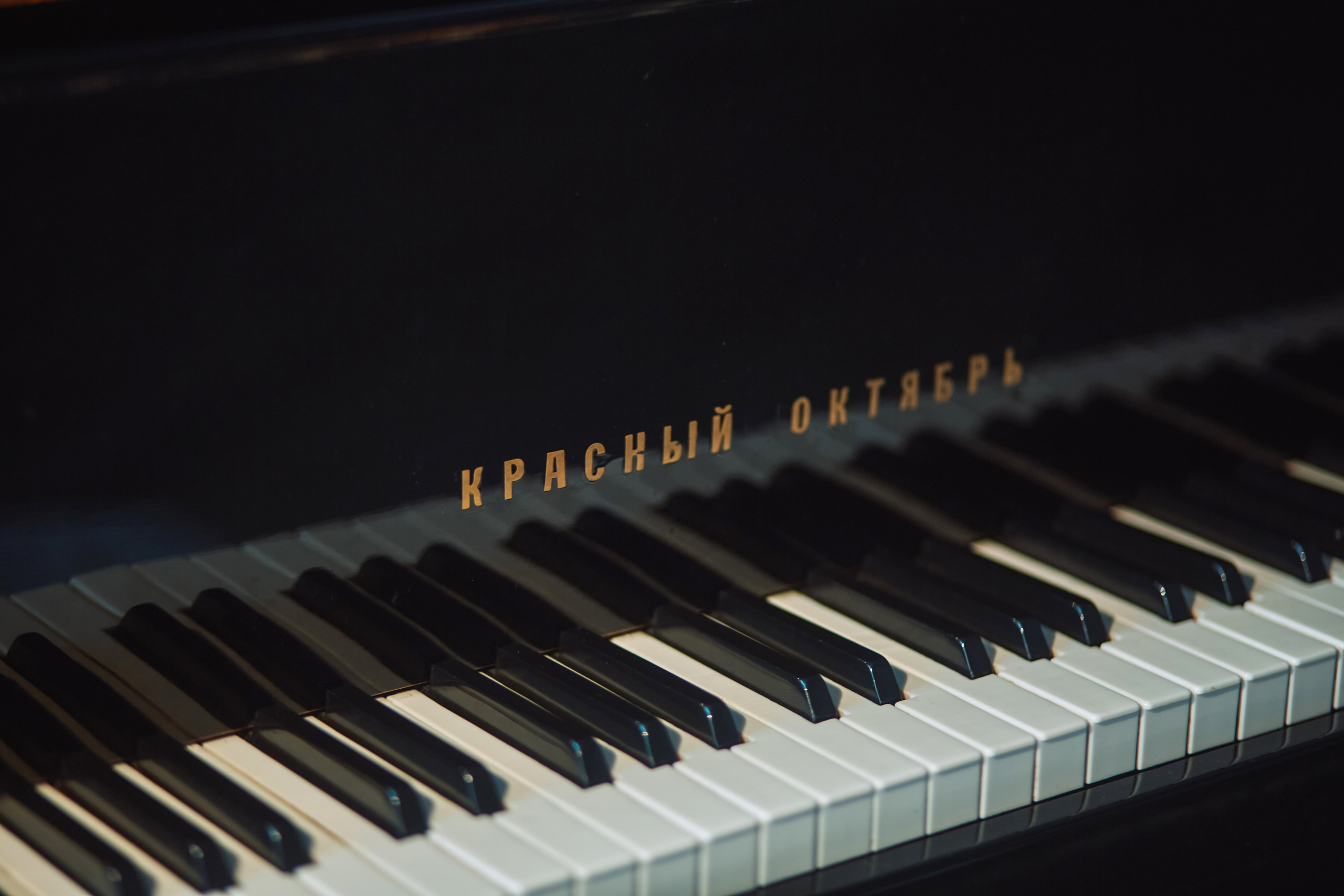 Алексей Вандрик (композитор и музыкант). Фотограф ваших самых ярких событий в Москве и СПБ. Збронская Юлия