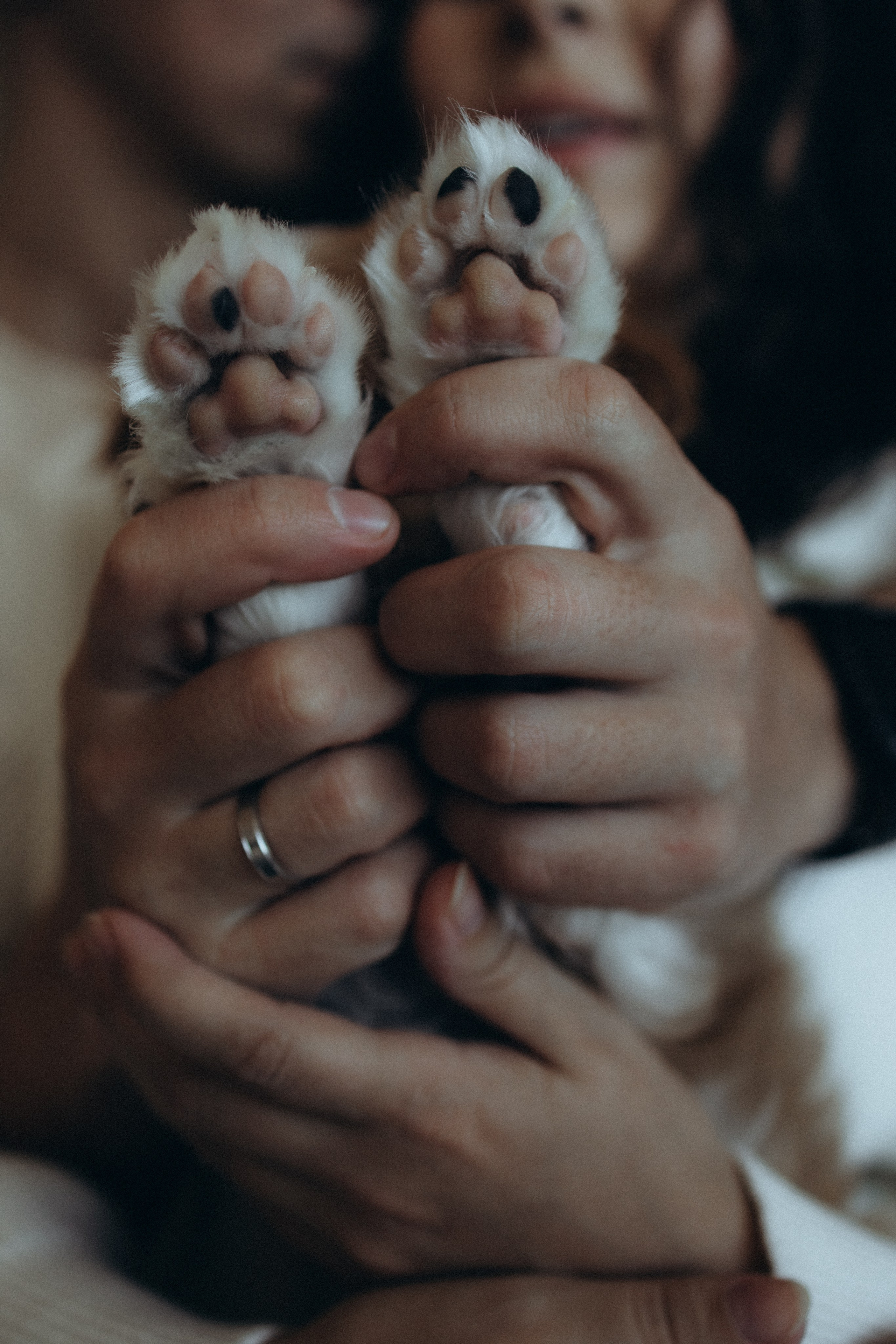 Ришат, Айгуль и пушистый малыш Йоко. Фотограф из Казани Мария Шамсутдинова