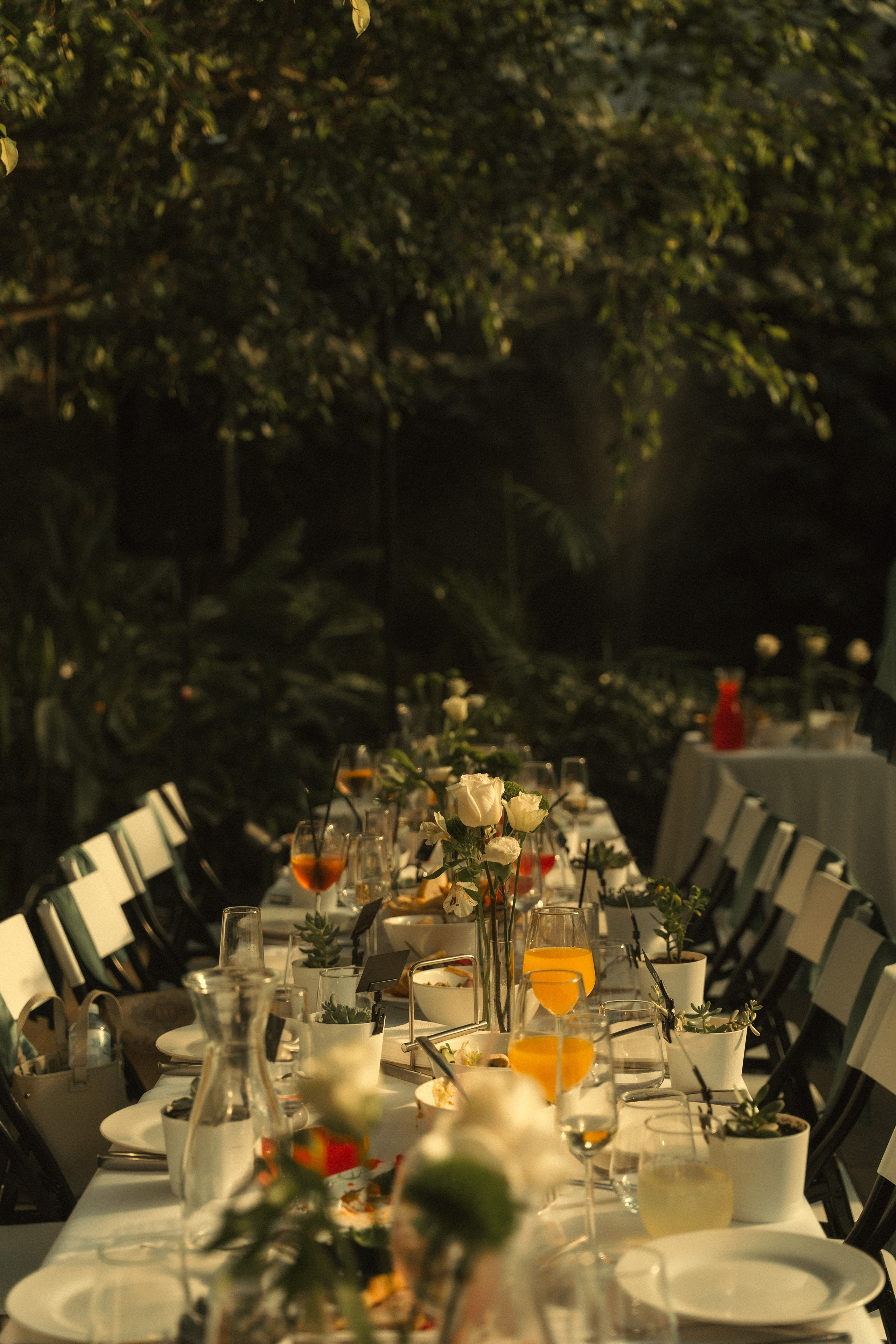 Свадьба Веры и Романа