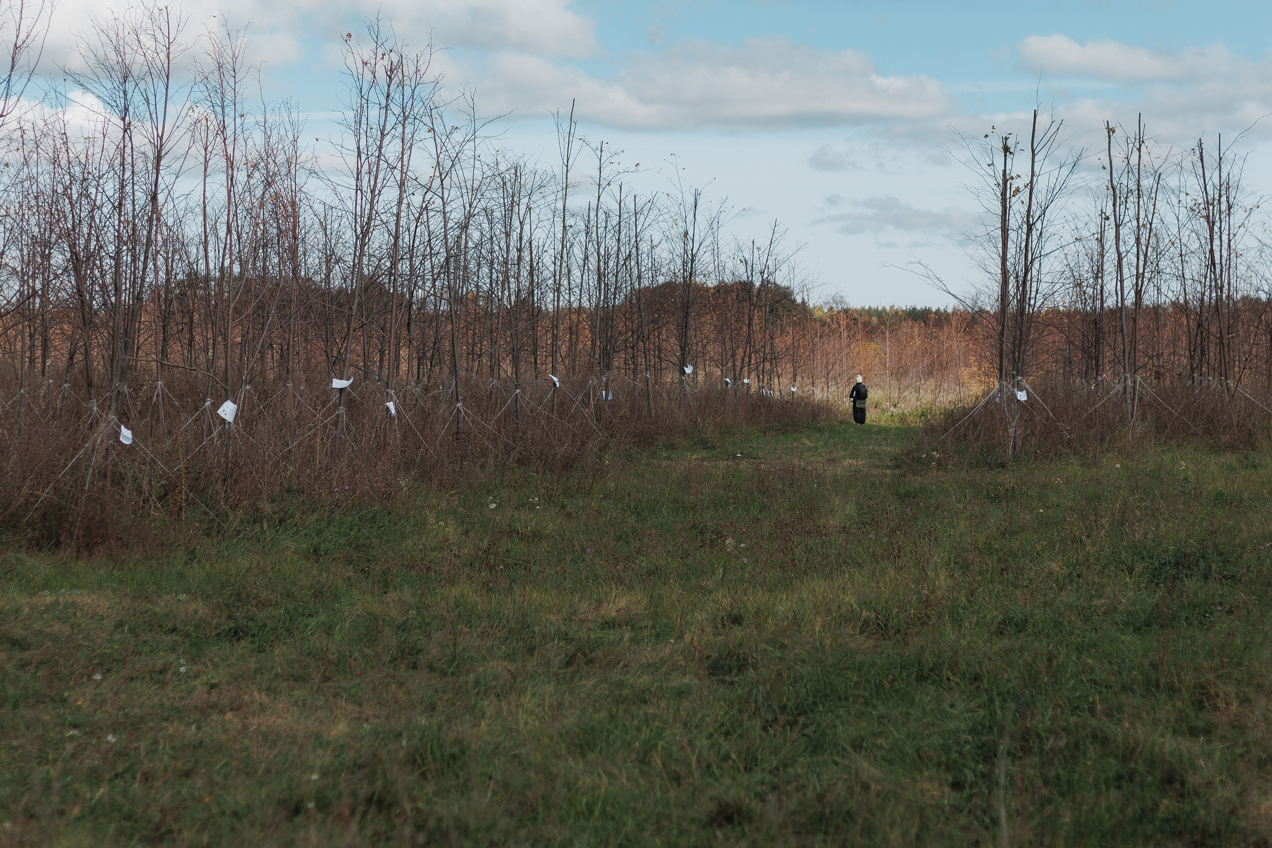Съемка перформанса. Ксю Галиасфарова — Фотограф Казань