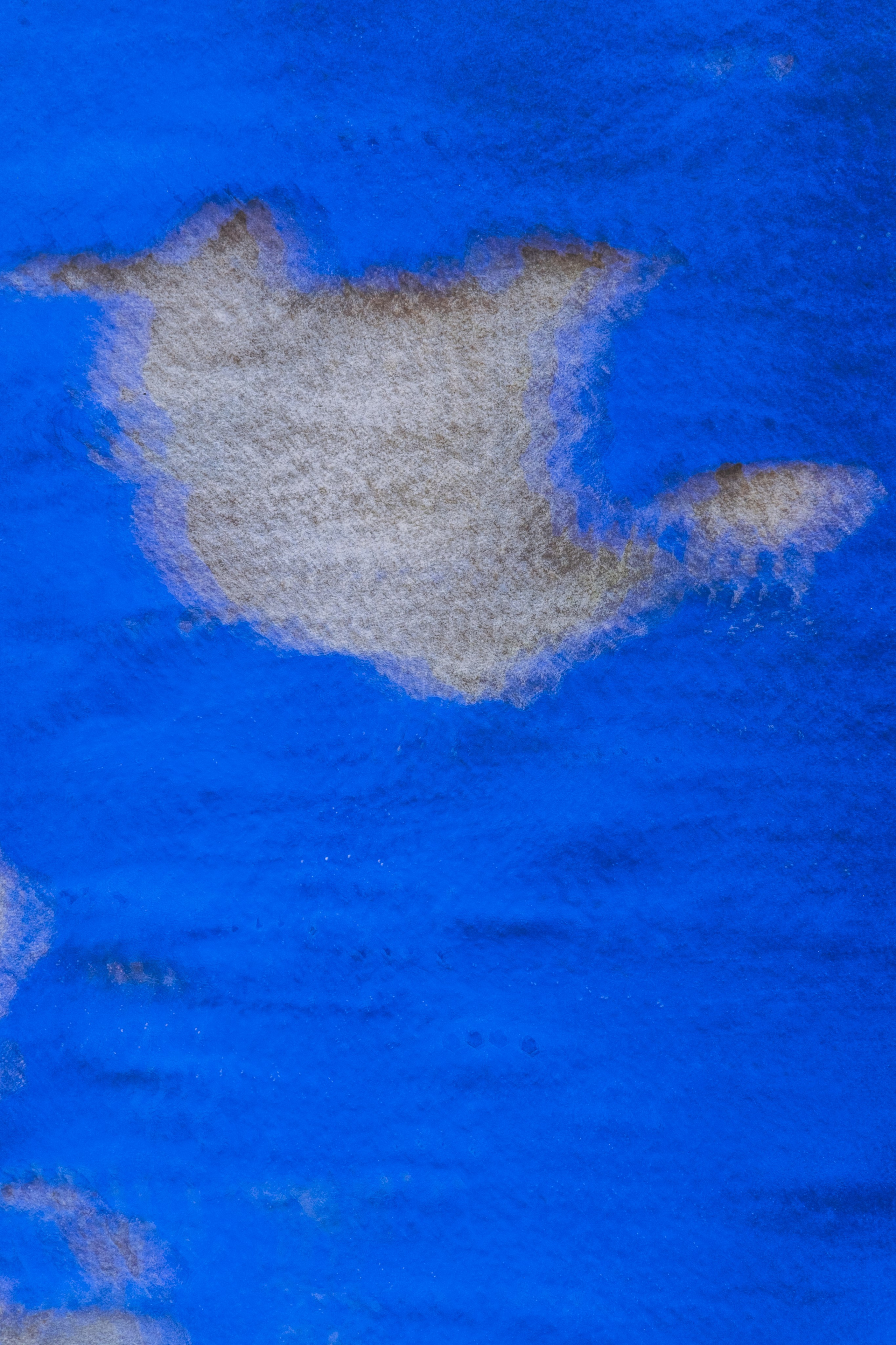 Exhibition Deep Deep Deep 2025. Фотограф алина стерхова, алина стерхова фотограф, фотограф москва