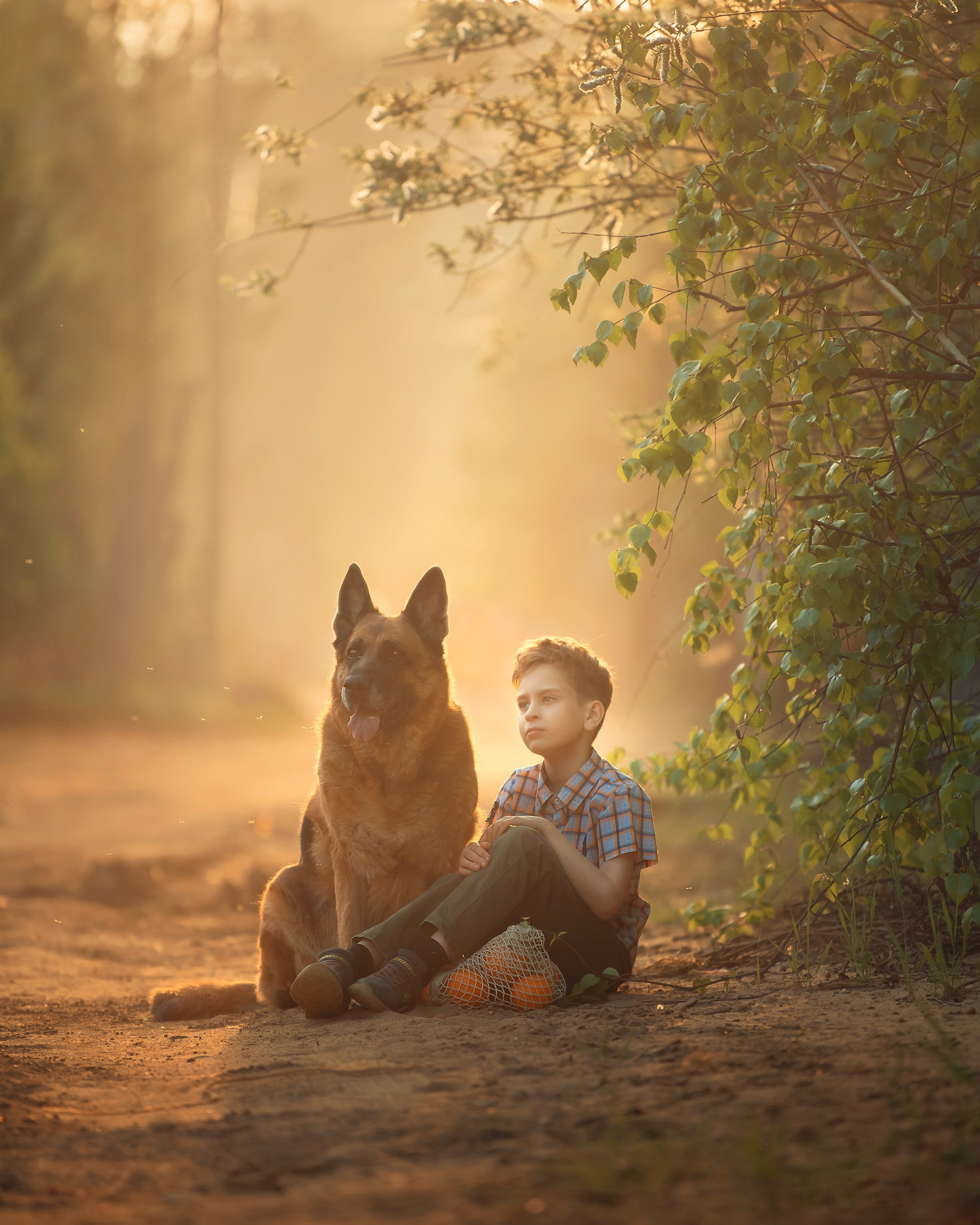Художественная фотография. Главная