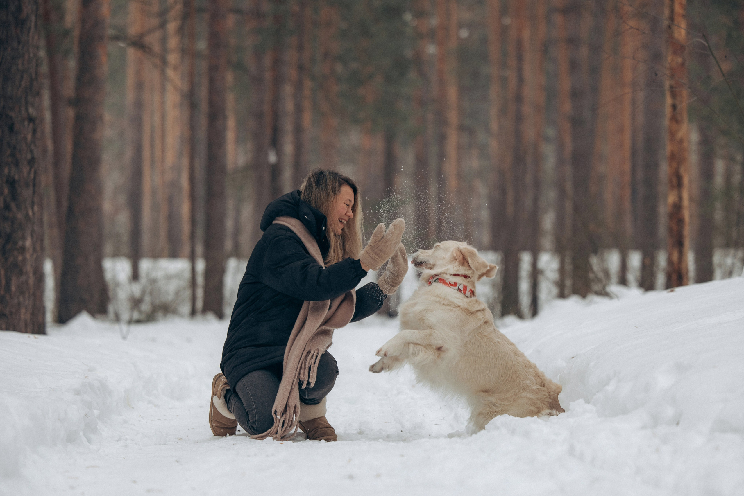 Зима. Лес. Татьяна и Делла. Фотограф анималист в Казани Алина Сулейманова. Фотограф животных