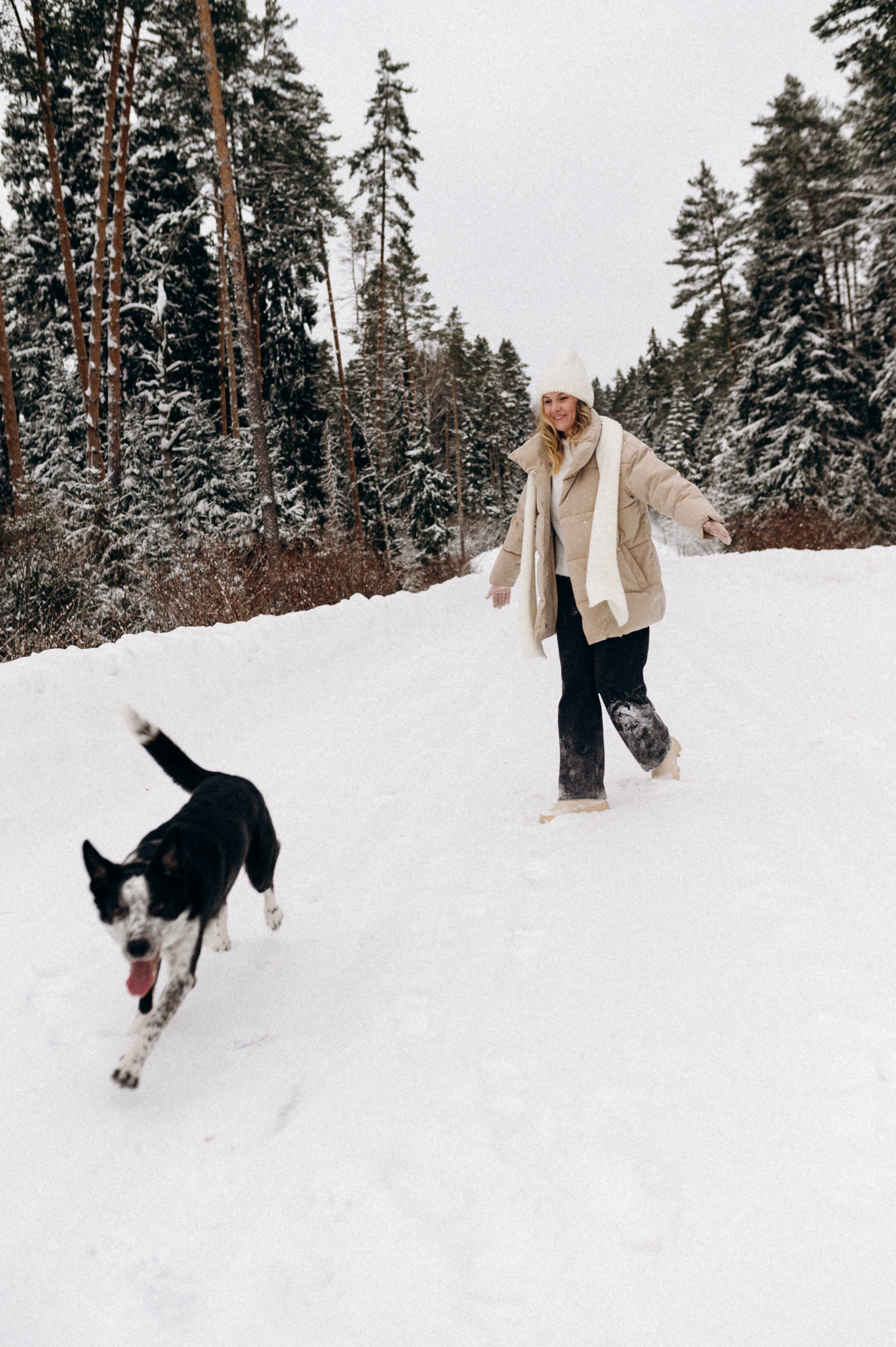 Аня и Милан. Фотограф анималист в Москве Ольга Агушева