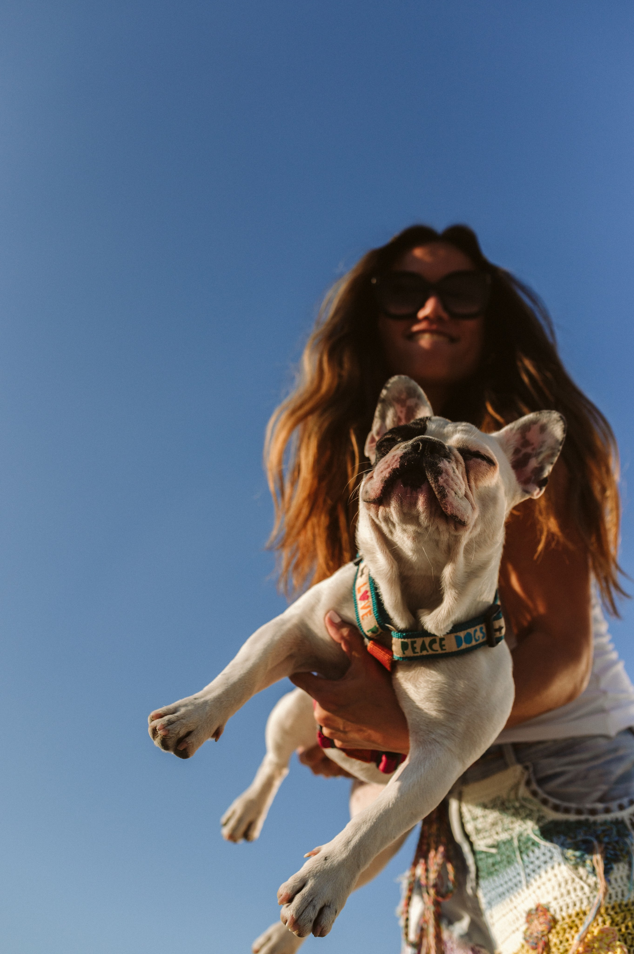 Инна и Белль. Фотограф анималист в Москве Ольга Агушева