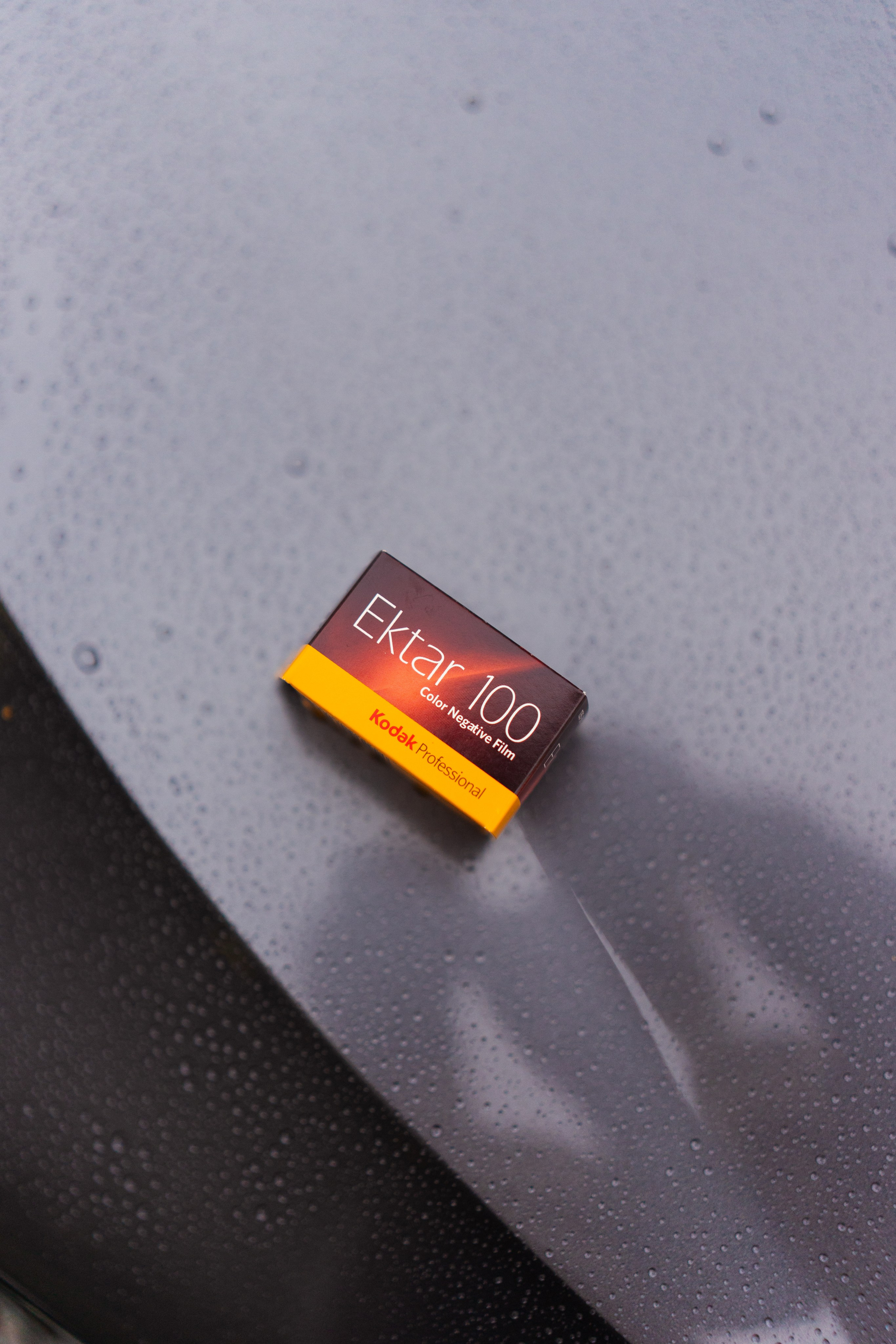 Fitment event 2023. Фотограф в СПБ Алмаз Камаев