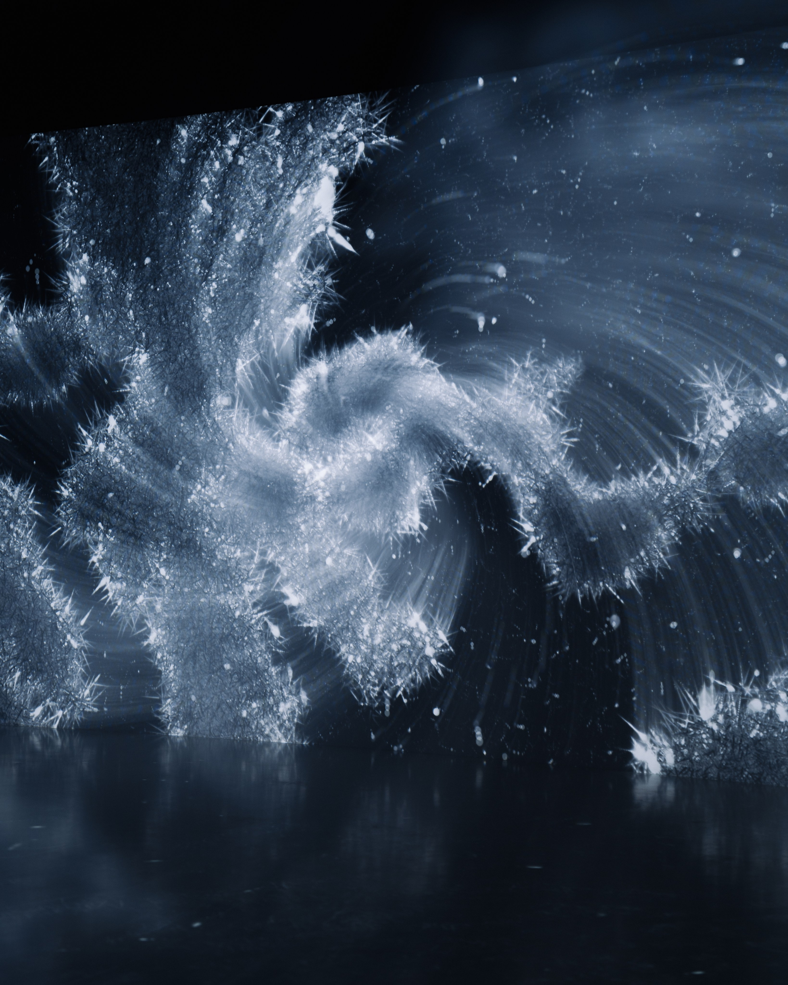 Generative Gallery & Luminar X, Making Magic. @tomrus: Рустам Шагиморданов — фотограф