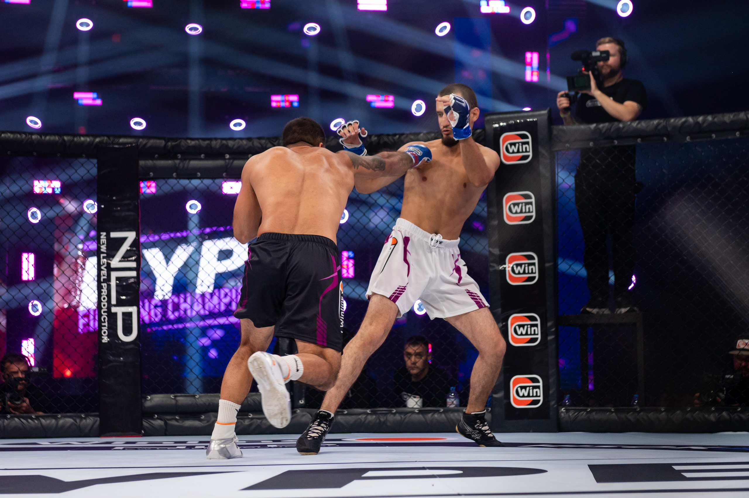 Бои. Репортажный фотограф в Красной Поляне и Сочи Павлюченко Екатерина