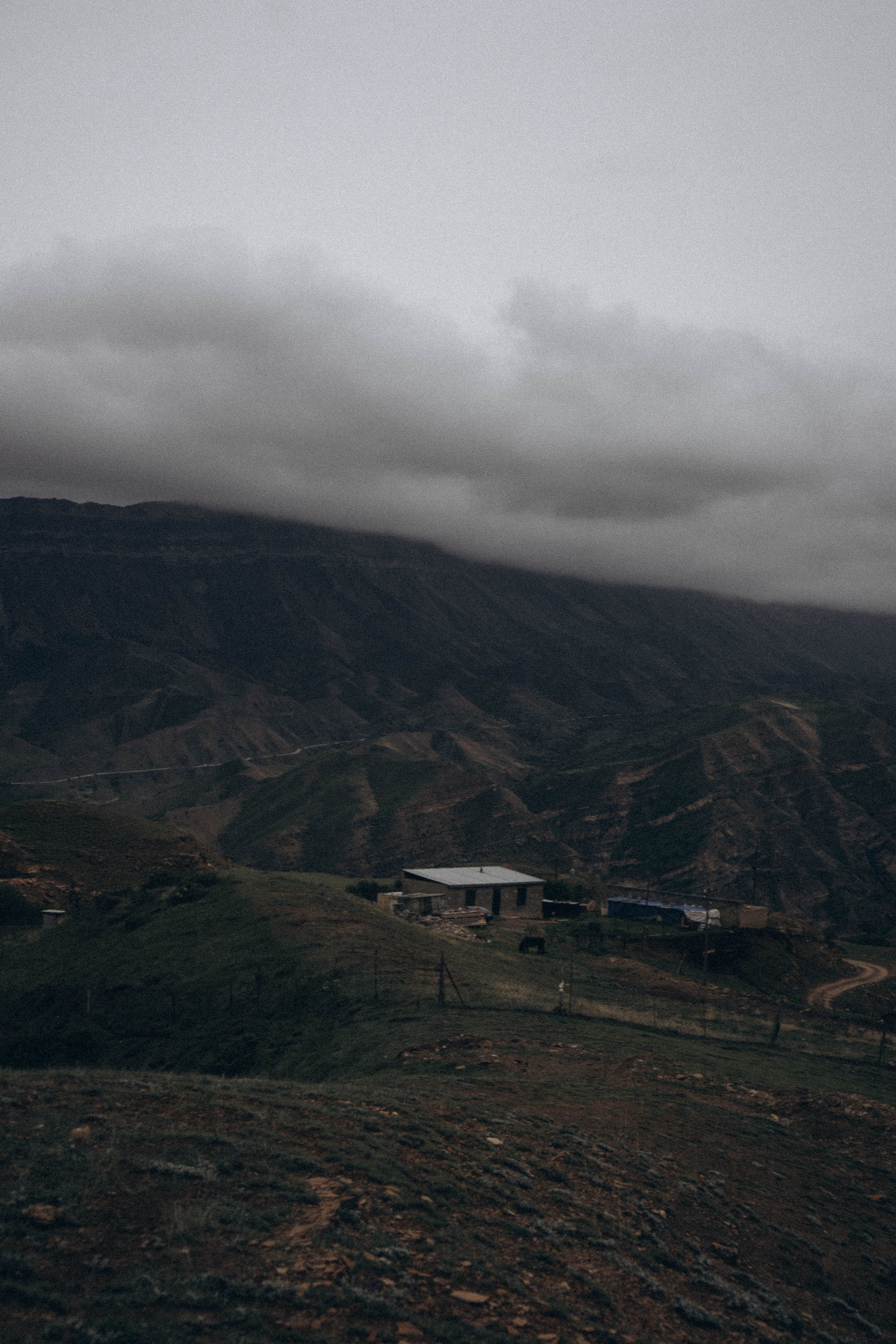 Кавказ. Профессиональный фотограф, Санкт-Петербург — Виктория Богомолова