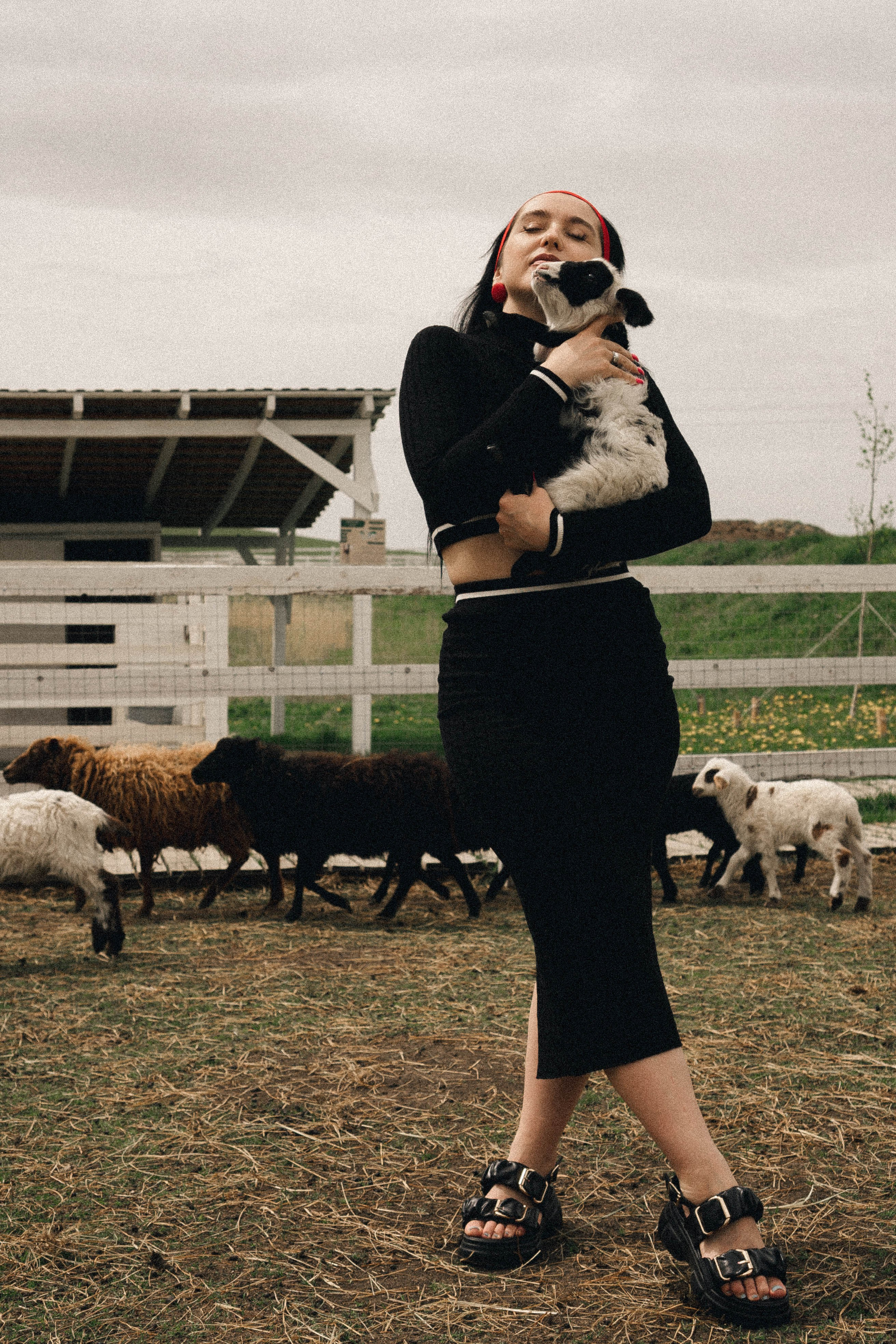 Ферма Альпак. Профессиональный фотограф, Санкт-Петербург — Виктория Богомолова
