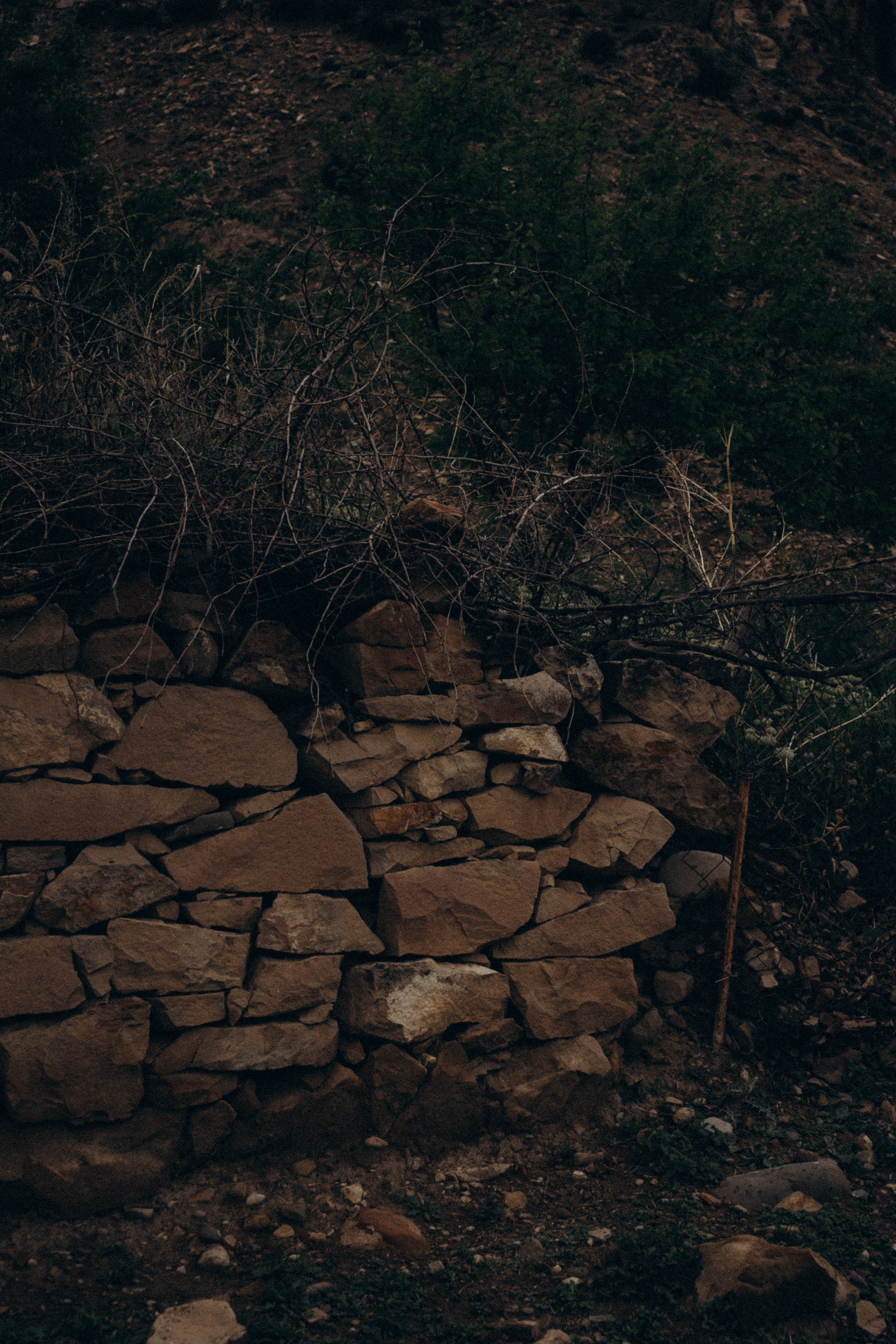 Кавказ. Профессиональный фотограф, Санкт-Петербург — Виктория Богомолова