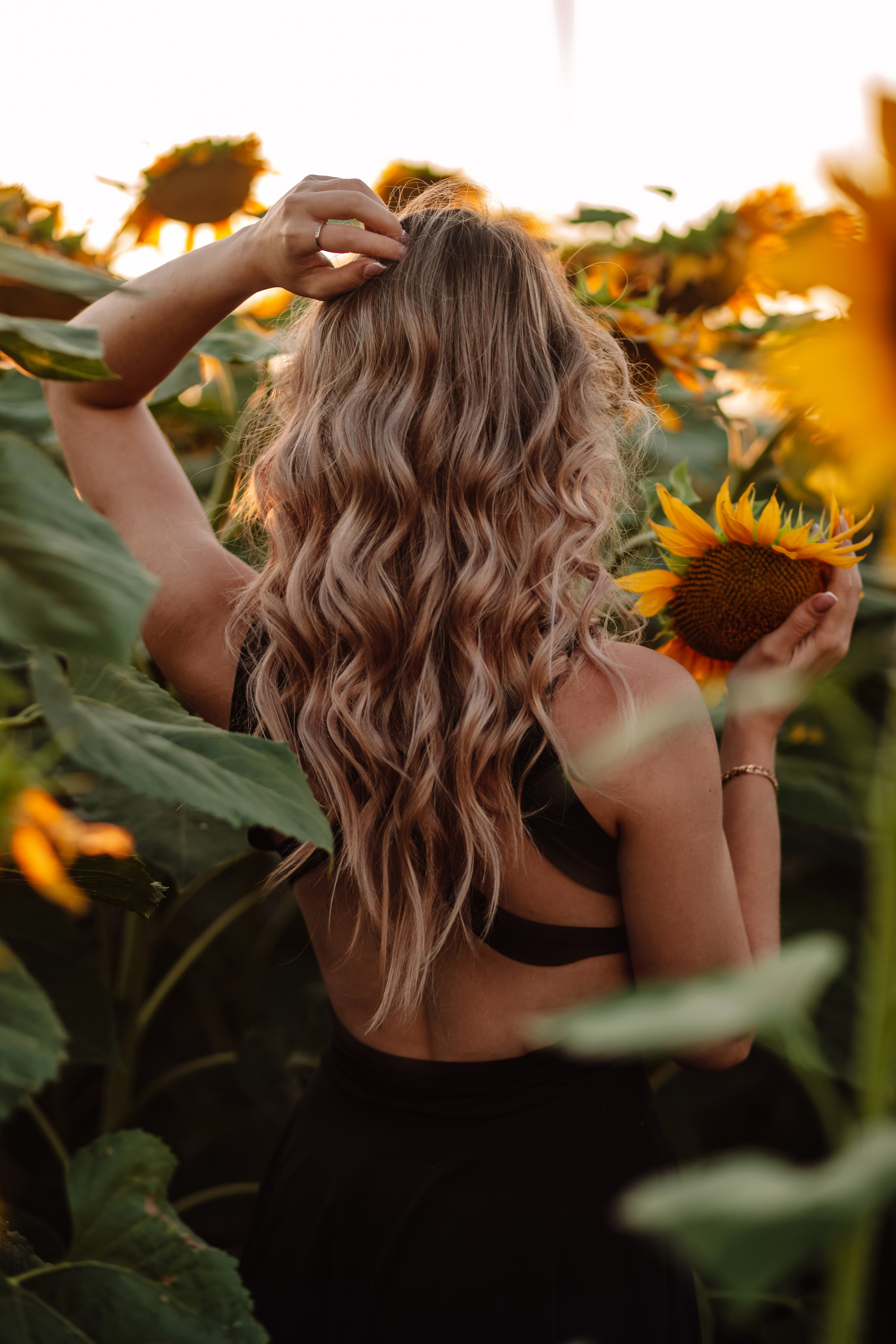 Подсолнухи…. Фотограф Неверова Катерина