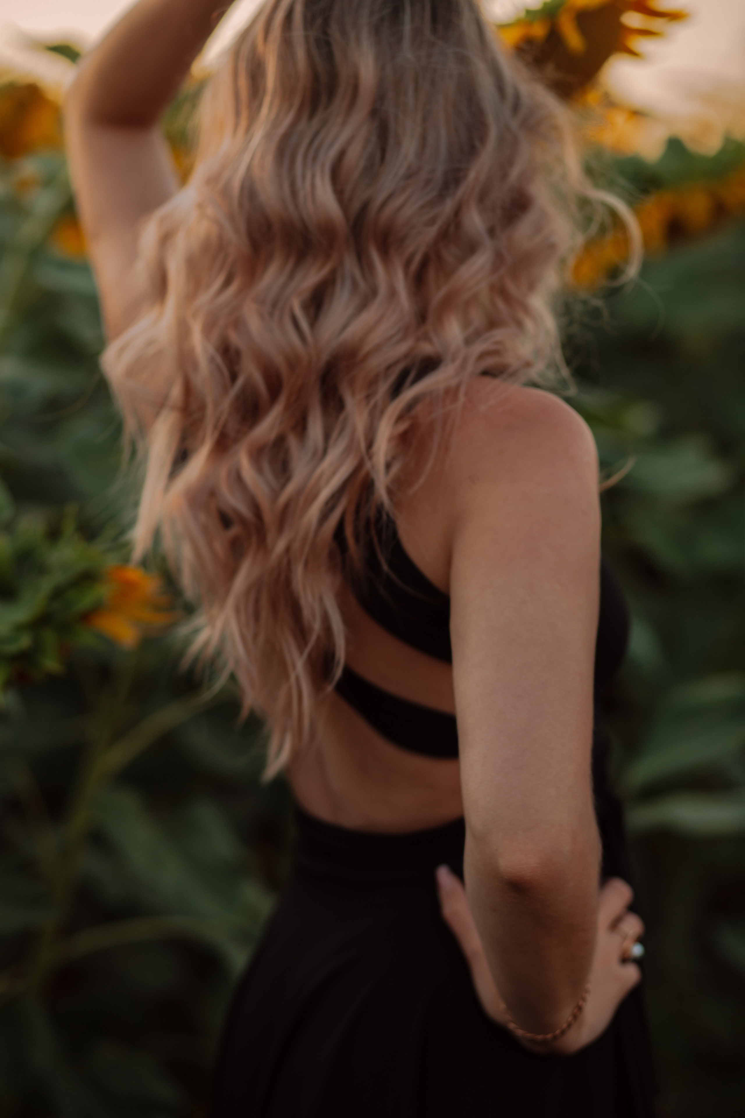 Подсолнухи…. Фотограф Неверова Катерина