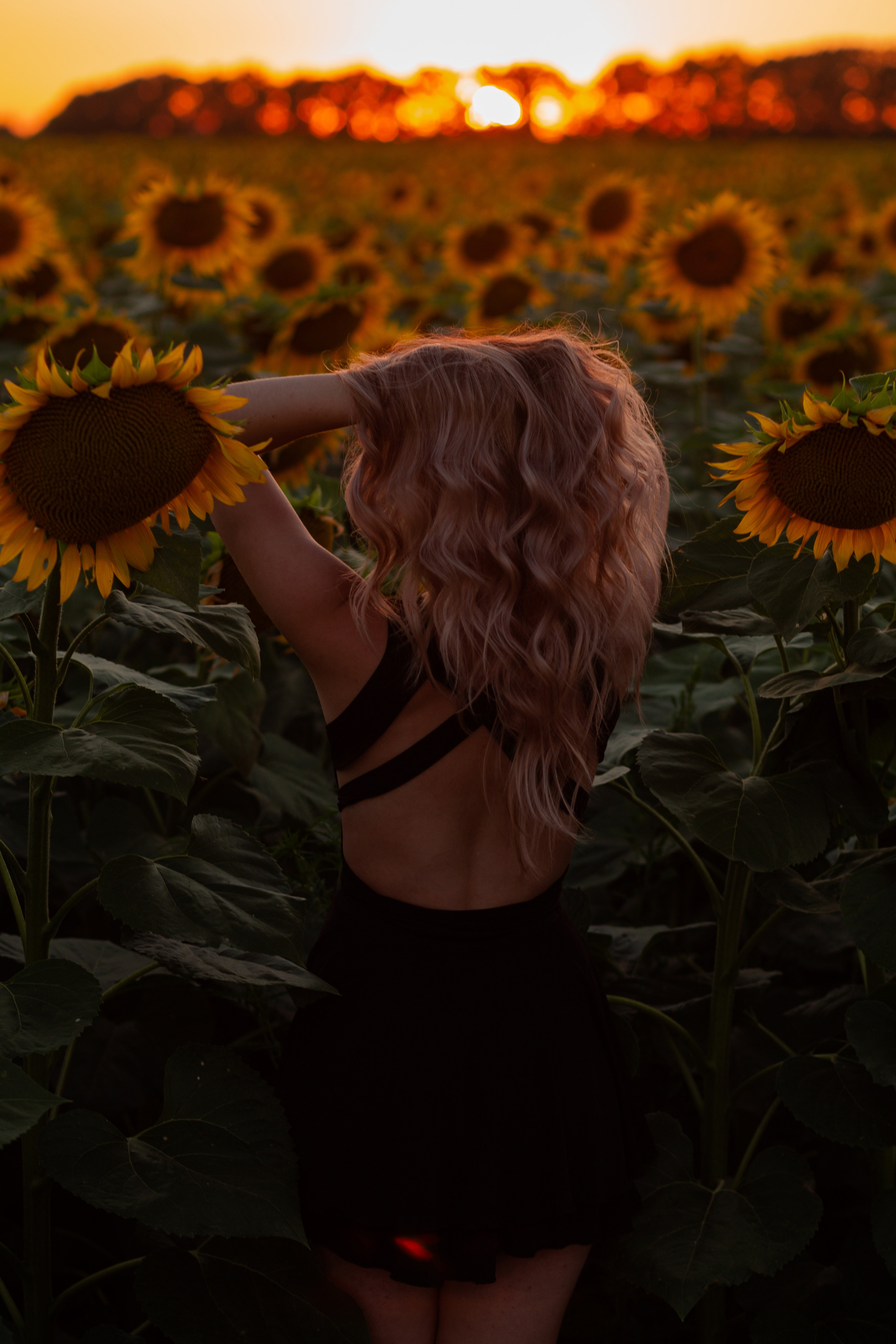 Подсолнухи…. Фотограф Неверова Катерина