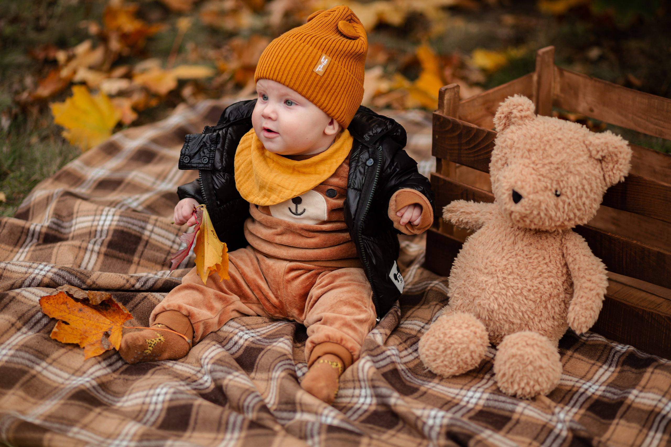 Наша осень…. Фотограф Неверова Катерина