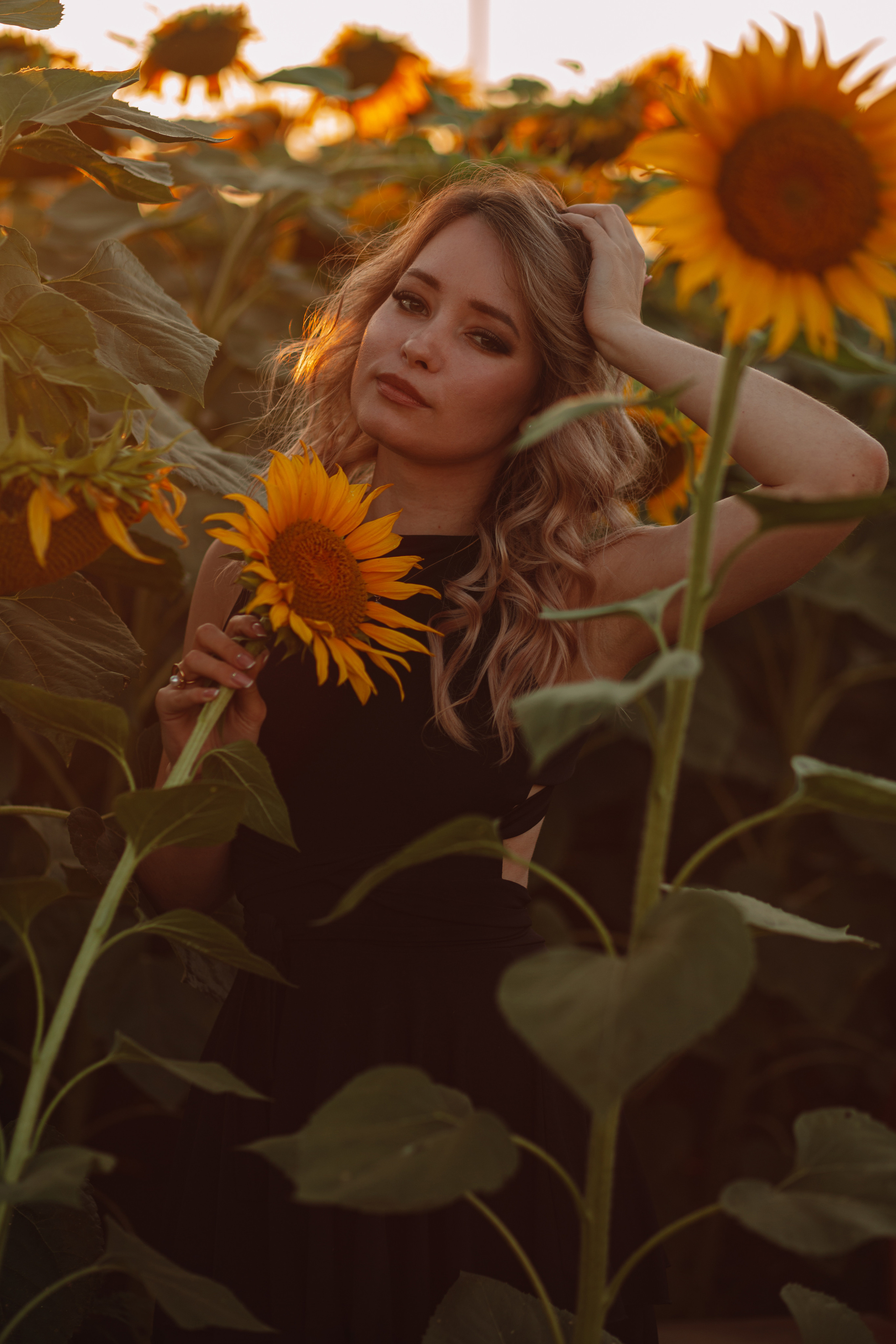 Подсолнухи…. Фотограф Неверова Катерина