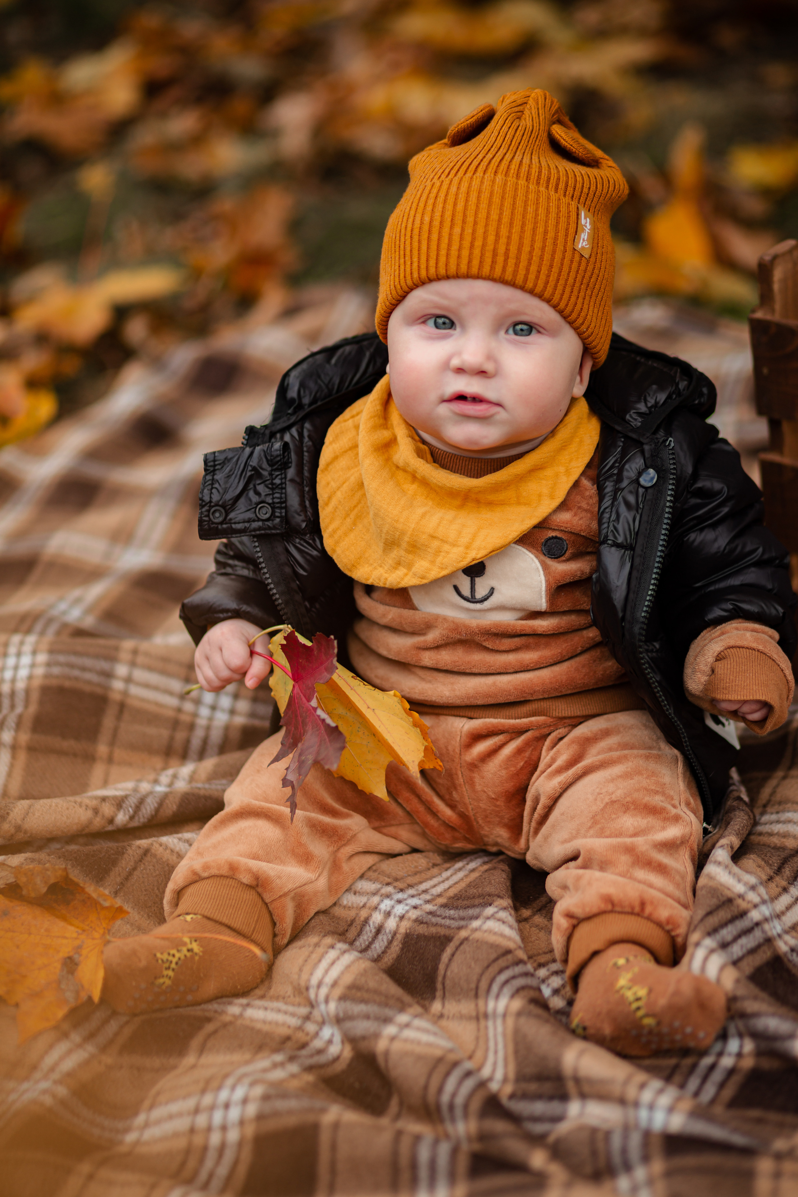 Наша осень…. Фотограф Неверова Катерина