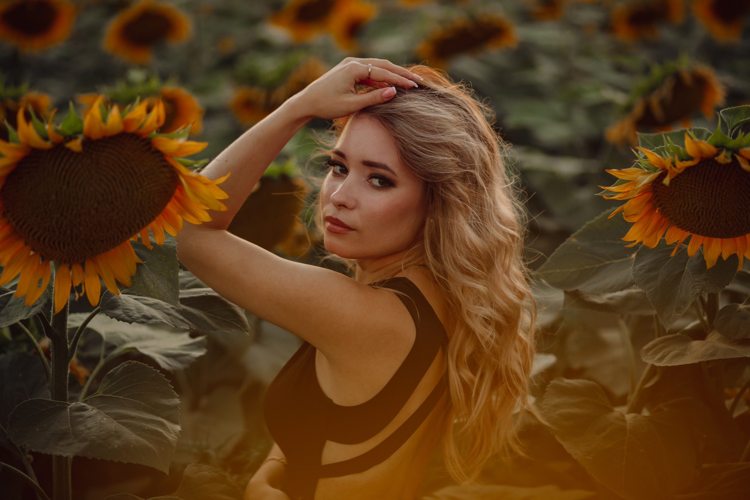 Подсолнухи…. Фотограф Неверова Катерина