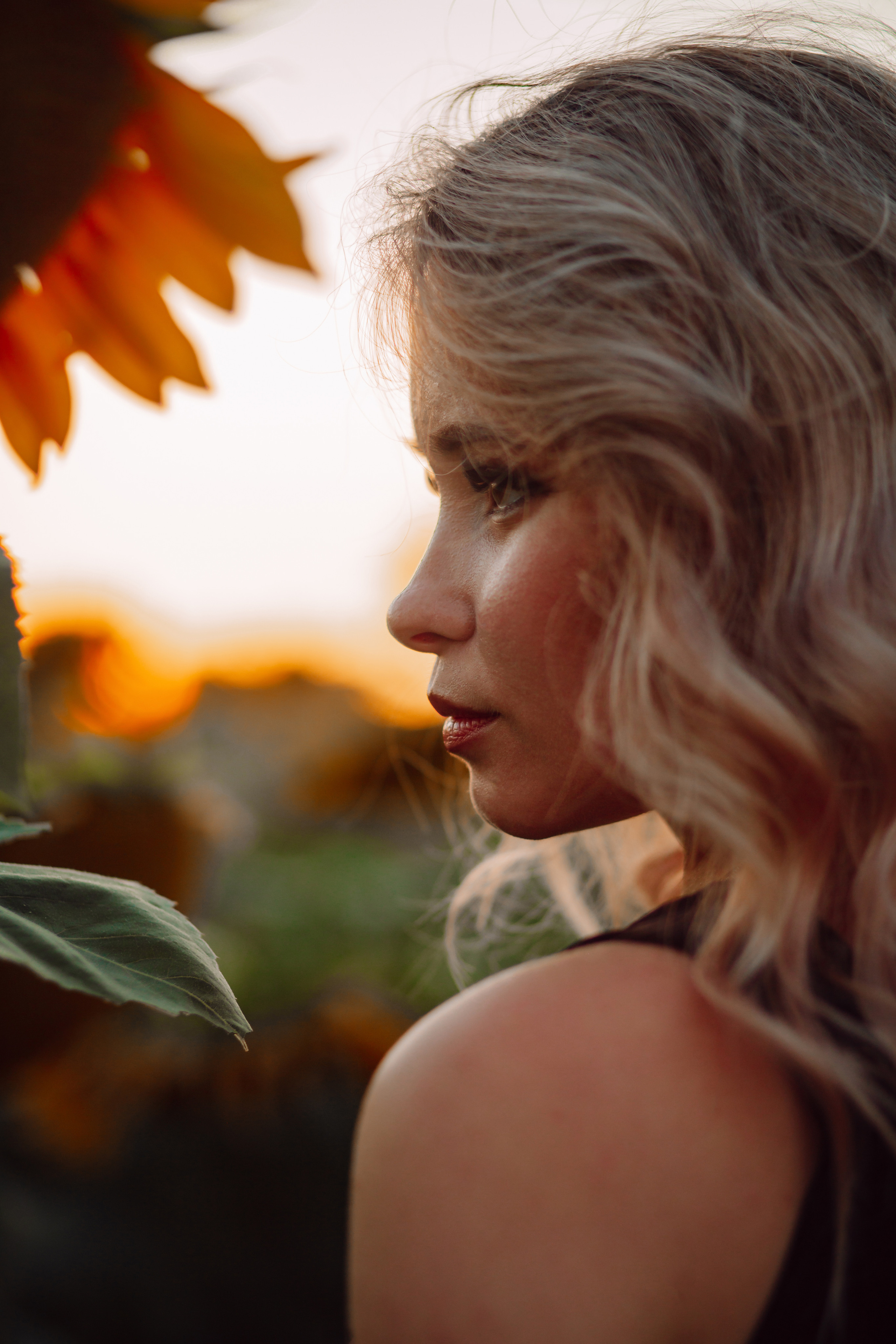 Подсолнухи…. Фотограф Неверова Катерина