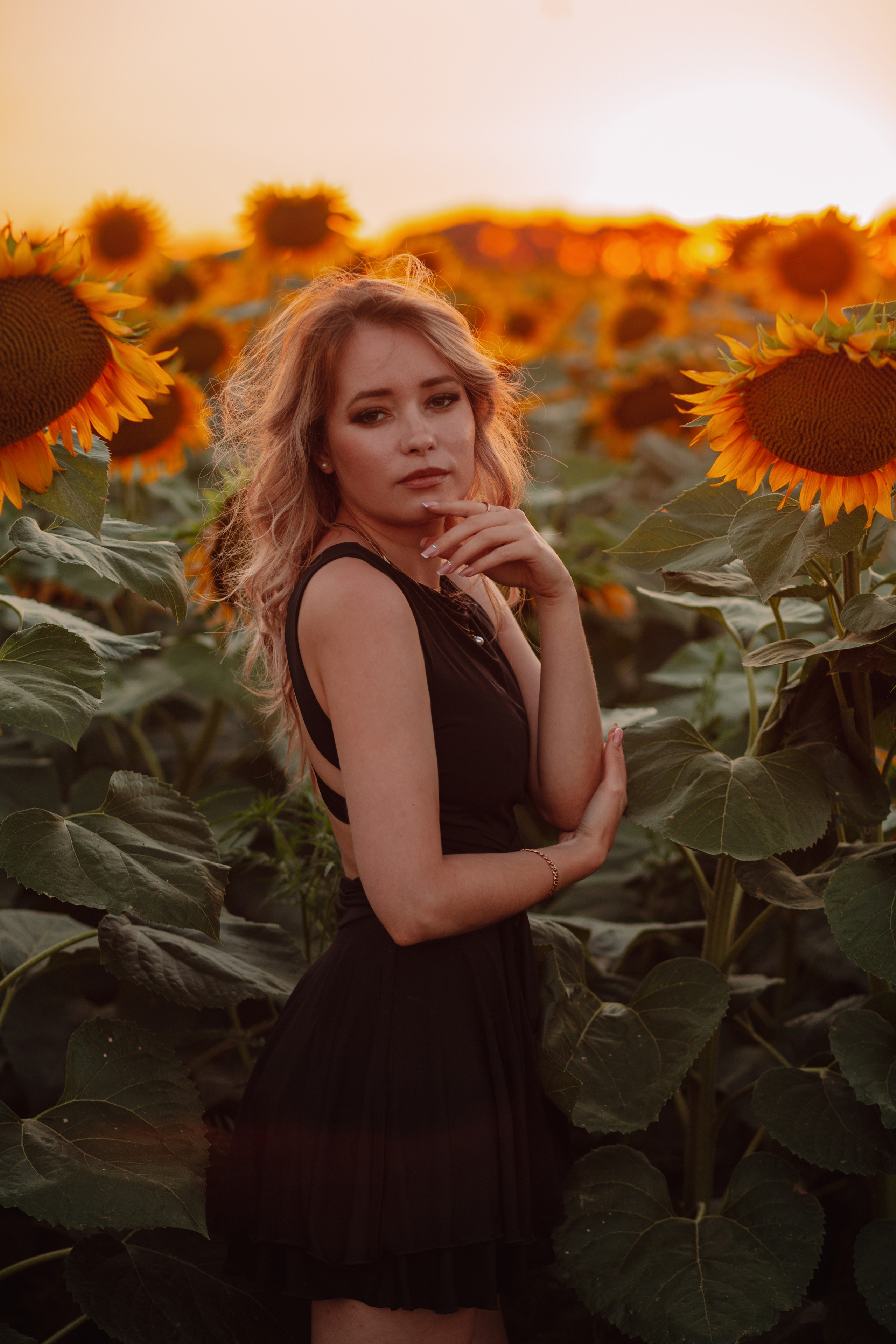 Подсолнухи…. Фотограф Неверова Катерина