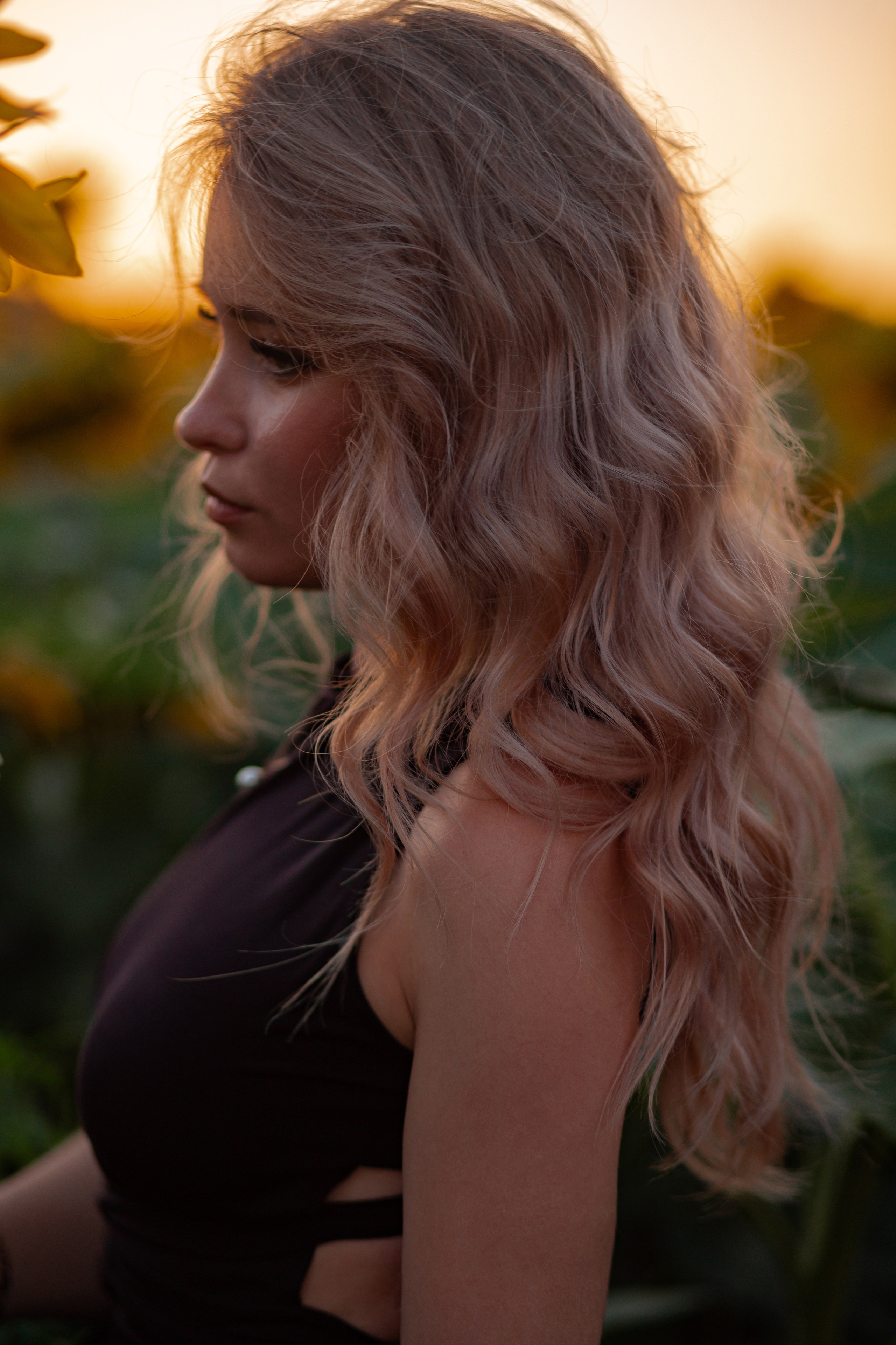 Подсолнухи…. Фотограф Неверова Катерина