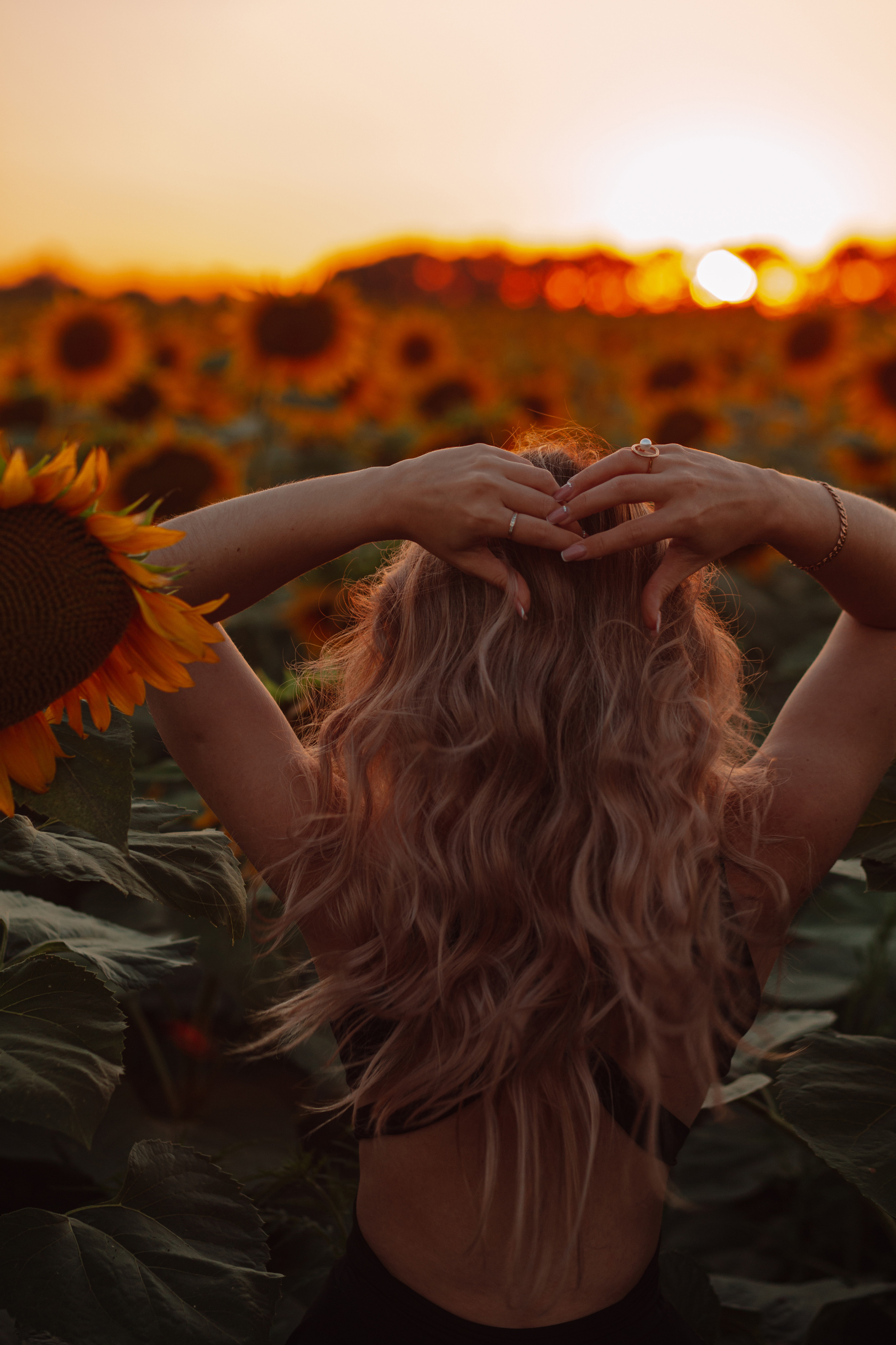 Подсолнухи…. Фотограф Неверова Катерина