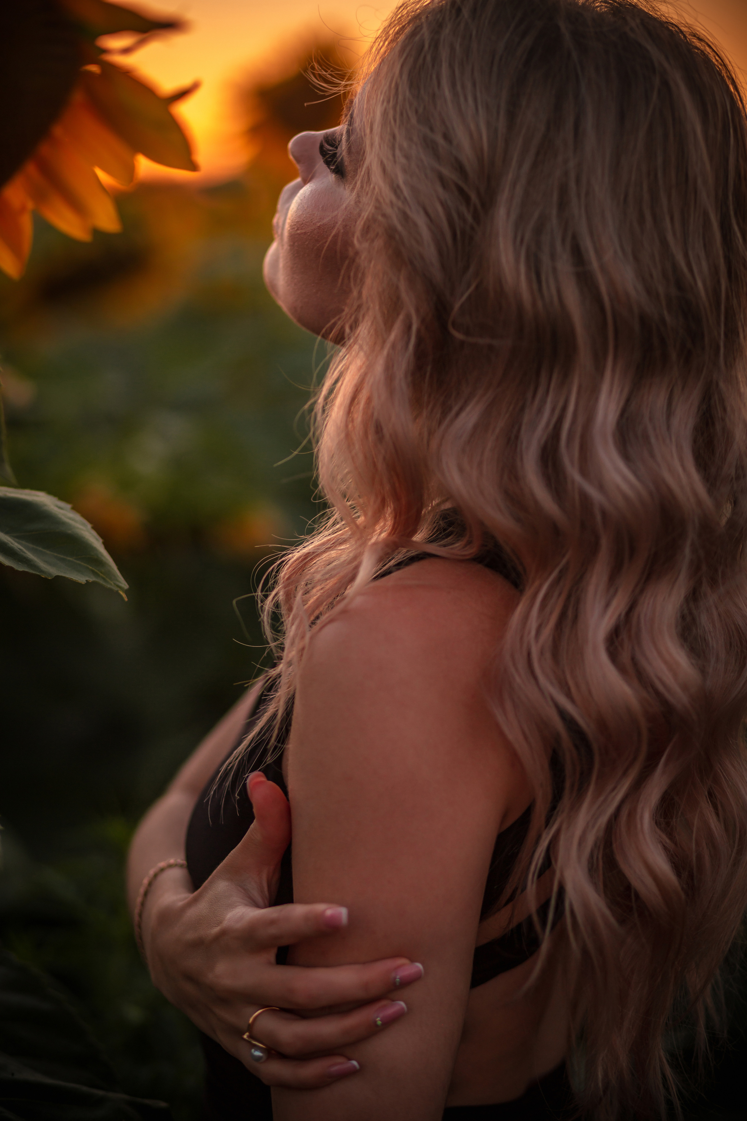 Подсолнухи…. Фотограф Неверова Катерина