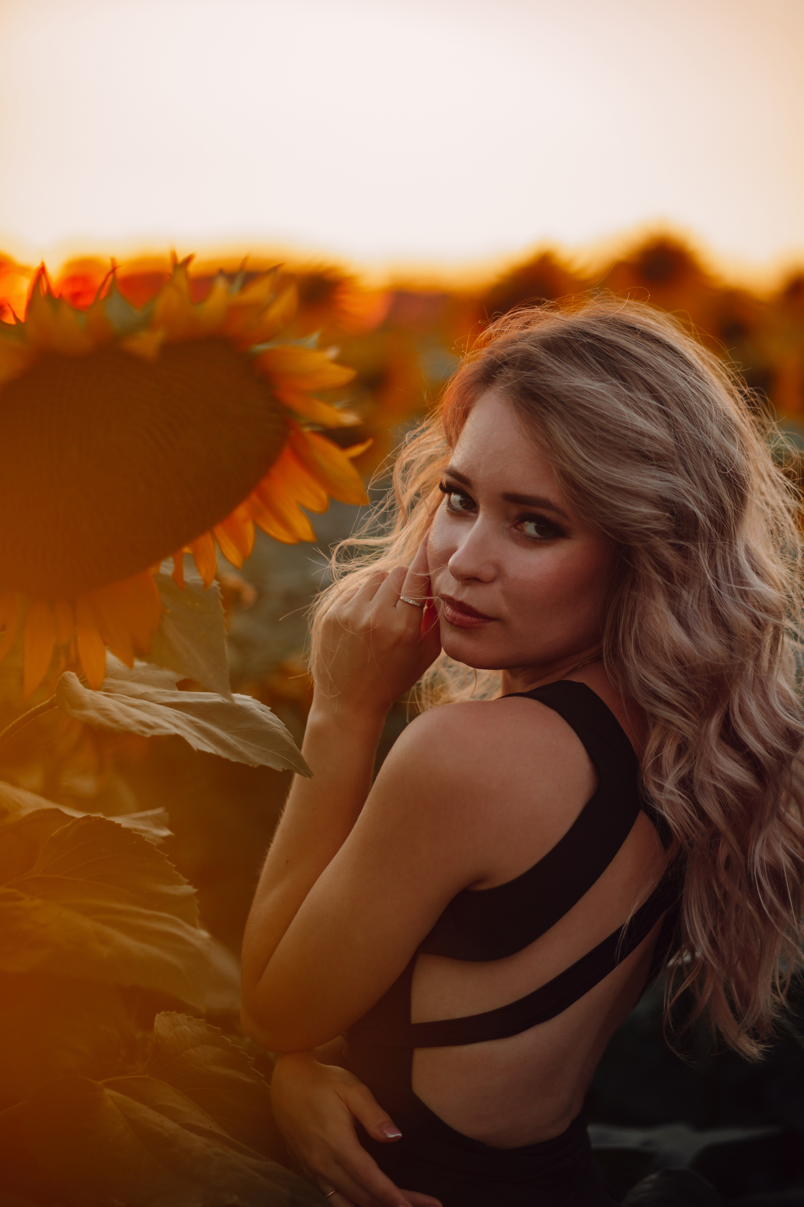 Подсолнухи…. Фотограф Неверова Катерина