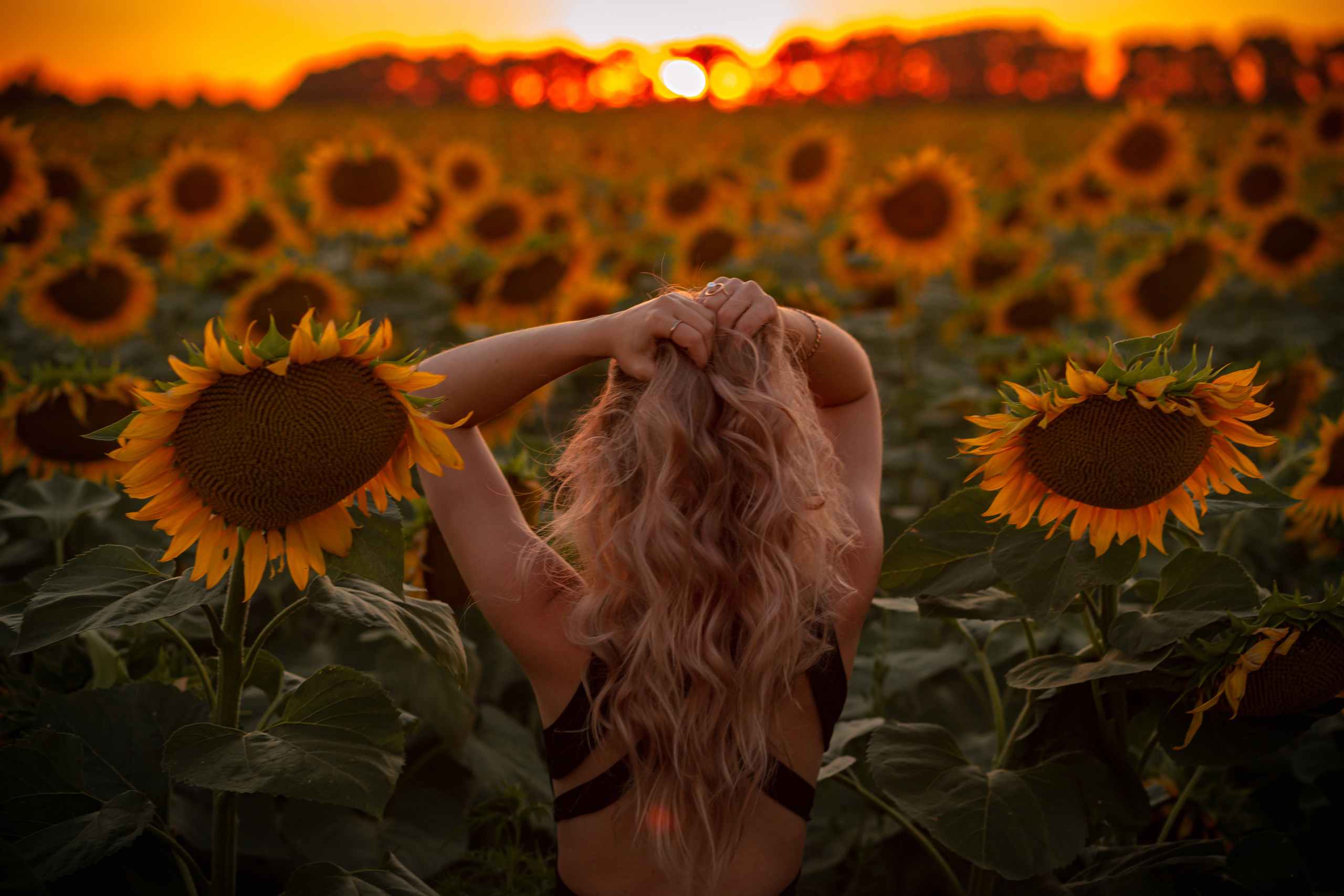 Подсолнухи…. Фотограф Неверова Катерина