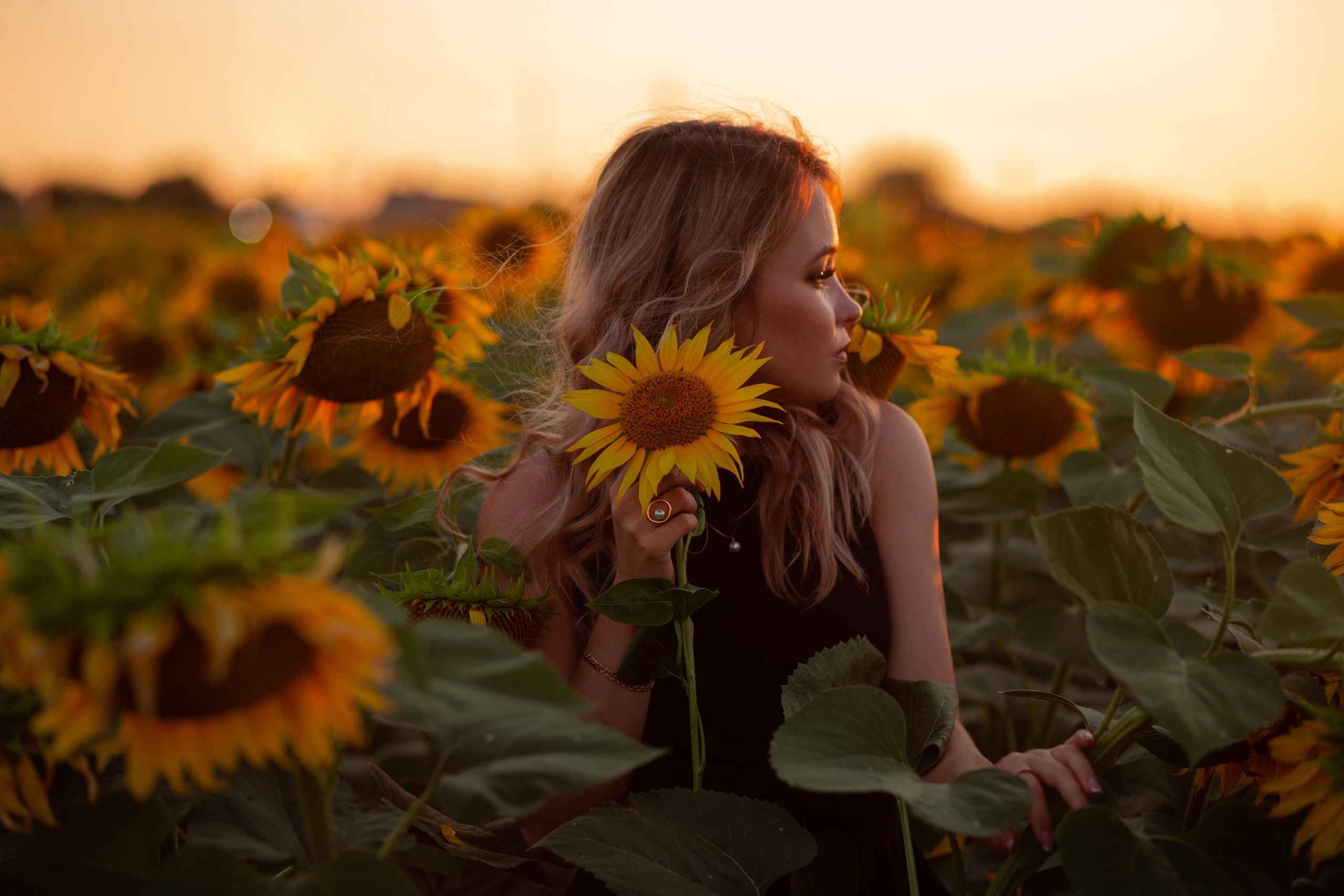 Подсолнухи…. Фотограф Неверова Катерина