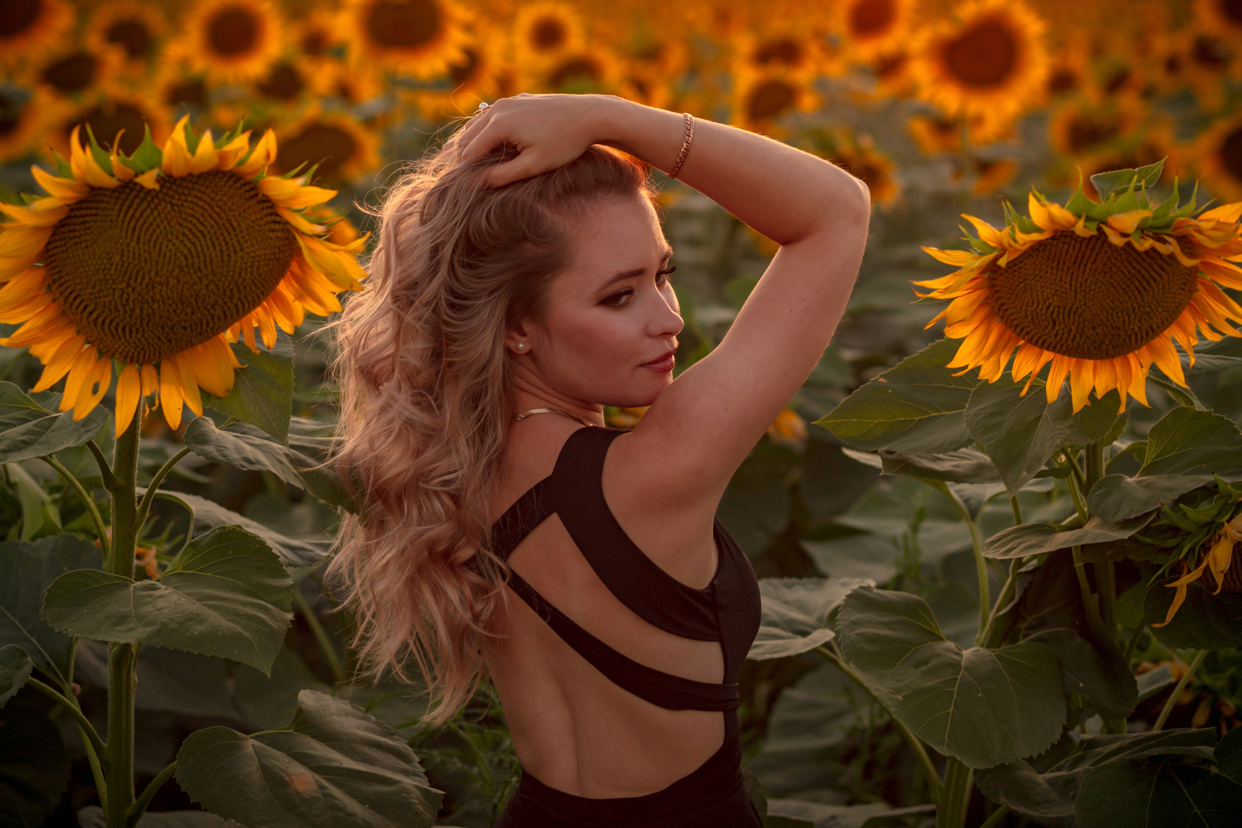 Подсолнухи…. Фотограф Неверова Катерина