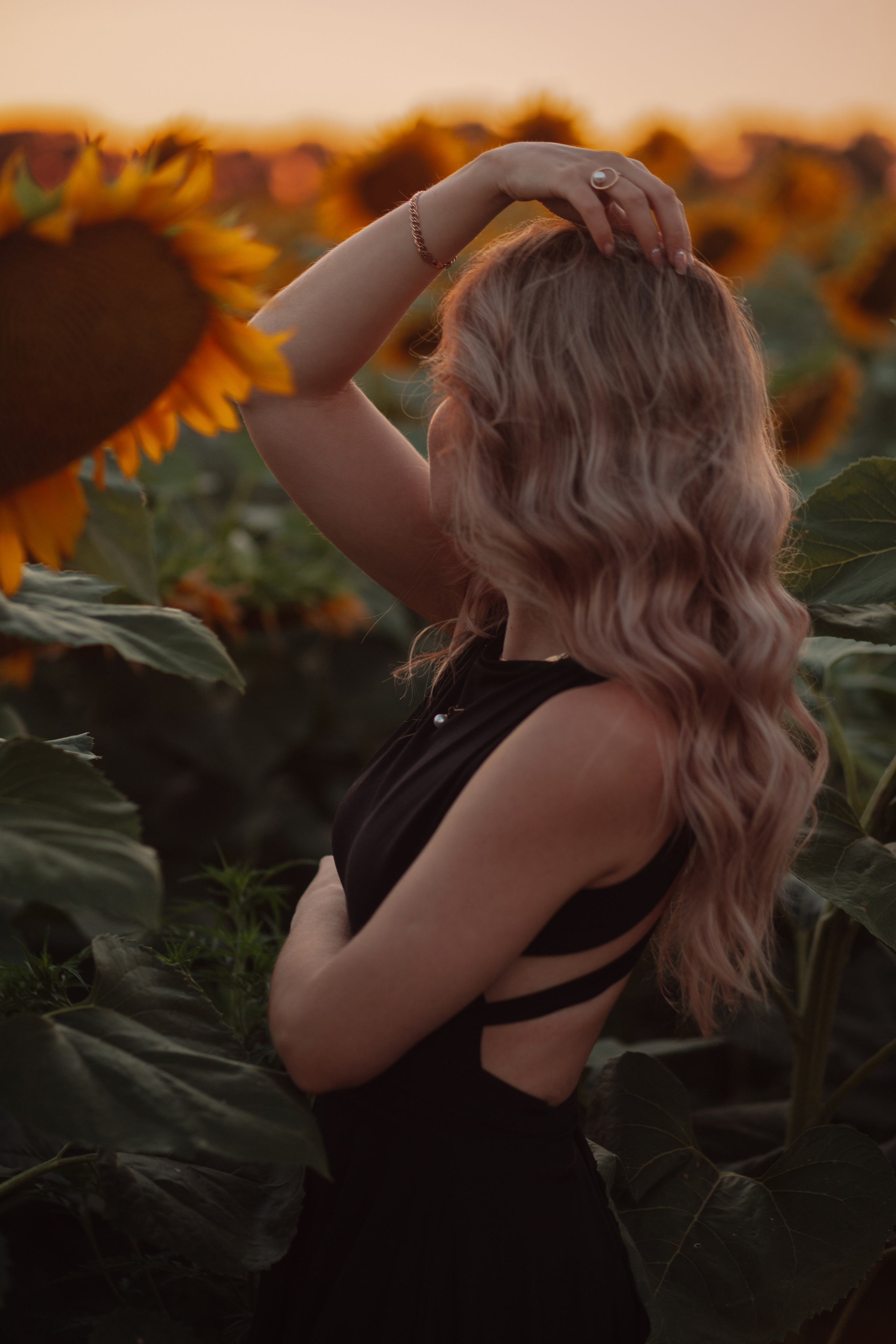 Подсолнухи…. Фотограф Неверова Катерина