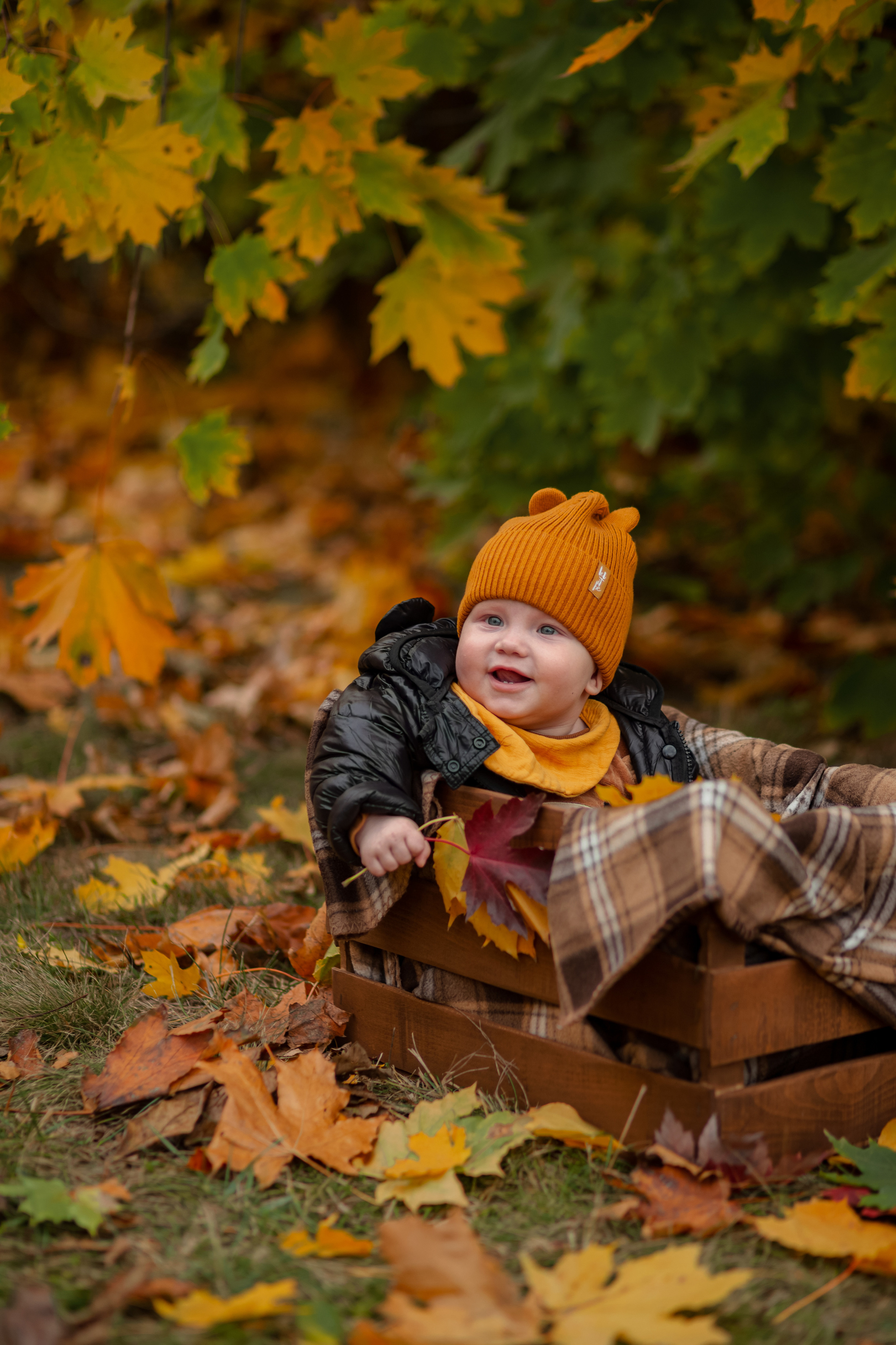 Наша осень…. Фотограф Неверова Катерина