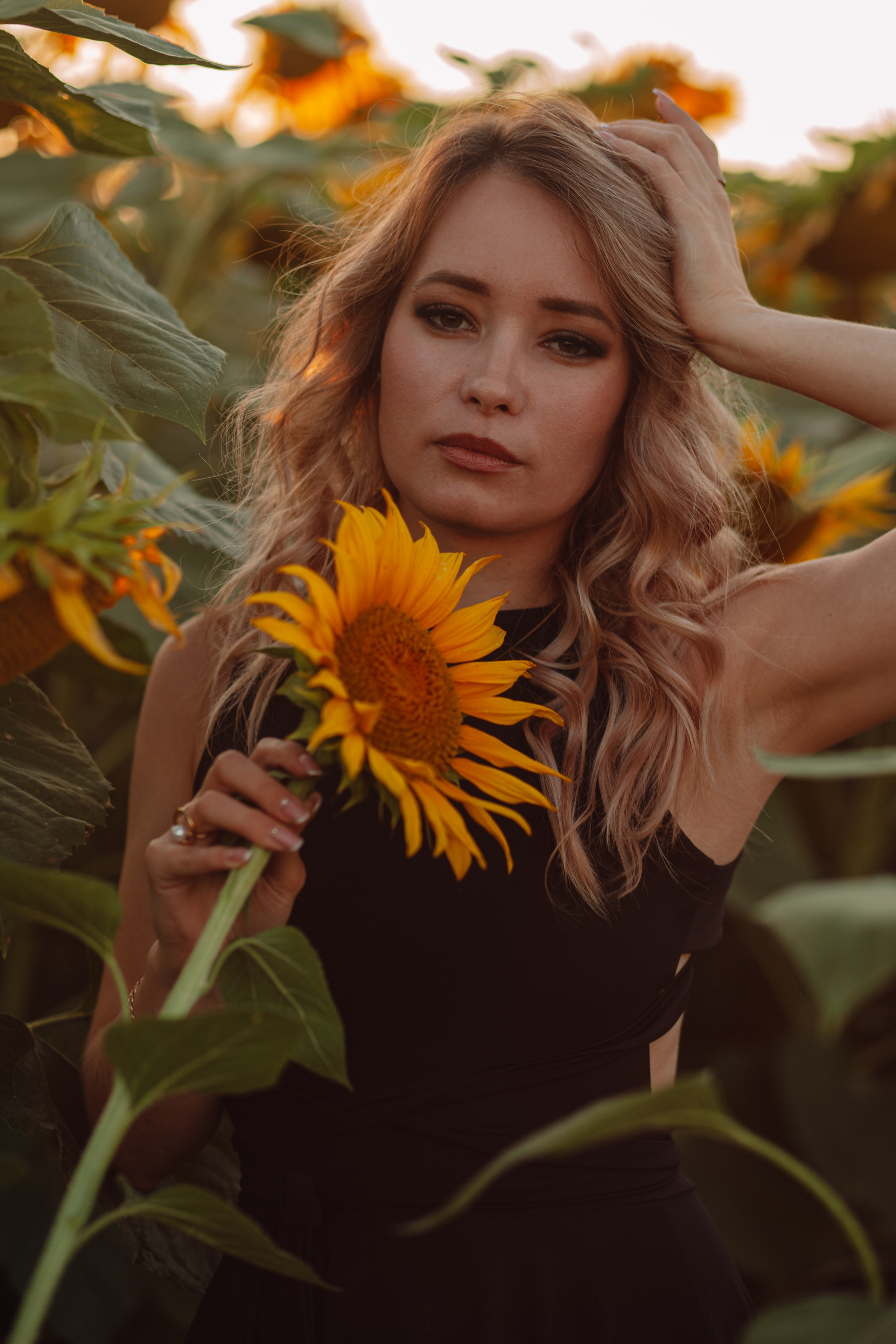 Подсолнухи…. Фотограф Неверова Катерина