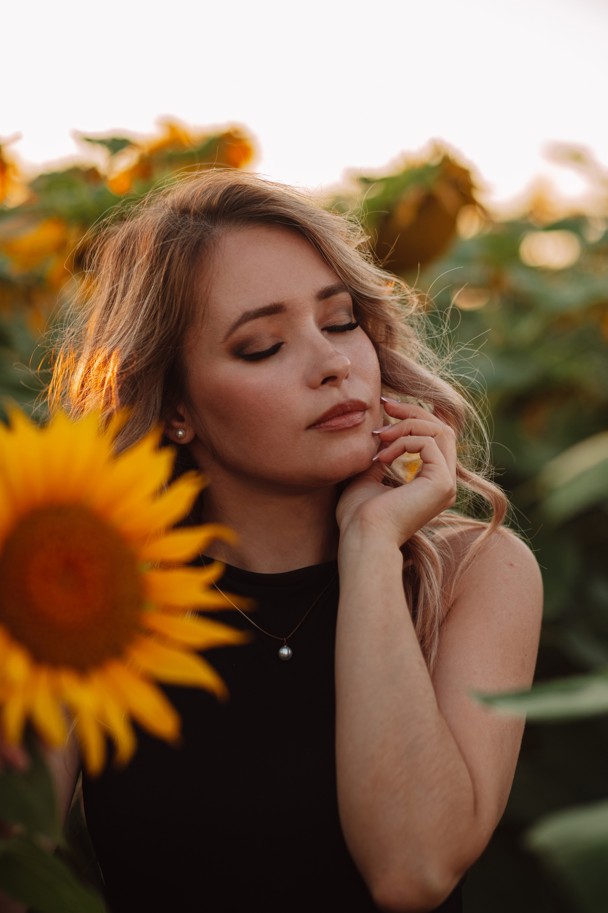 Подсолнухи…. Фотограф Неверова Катерина