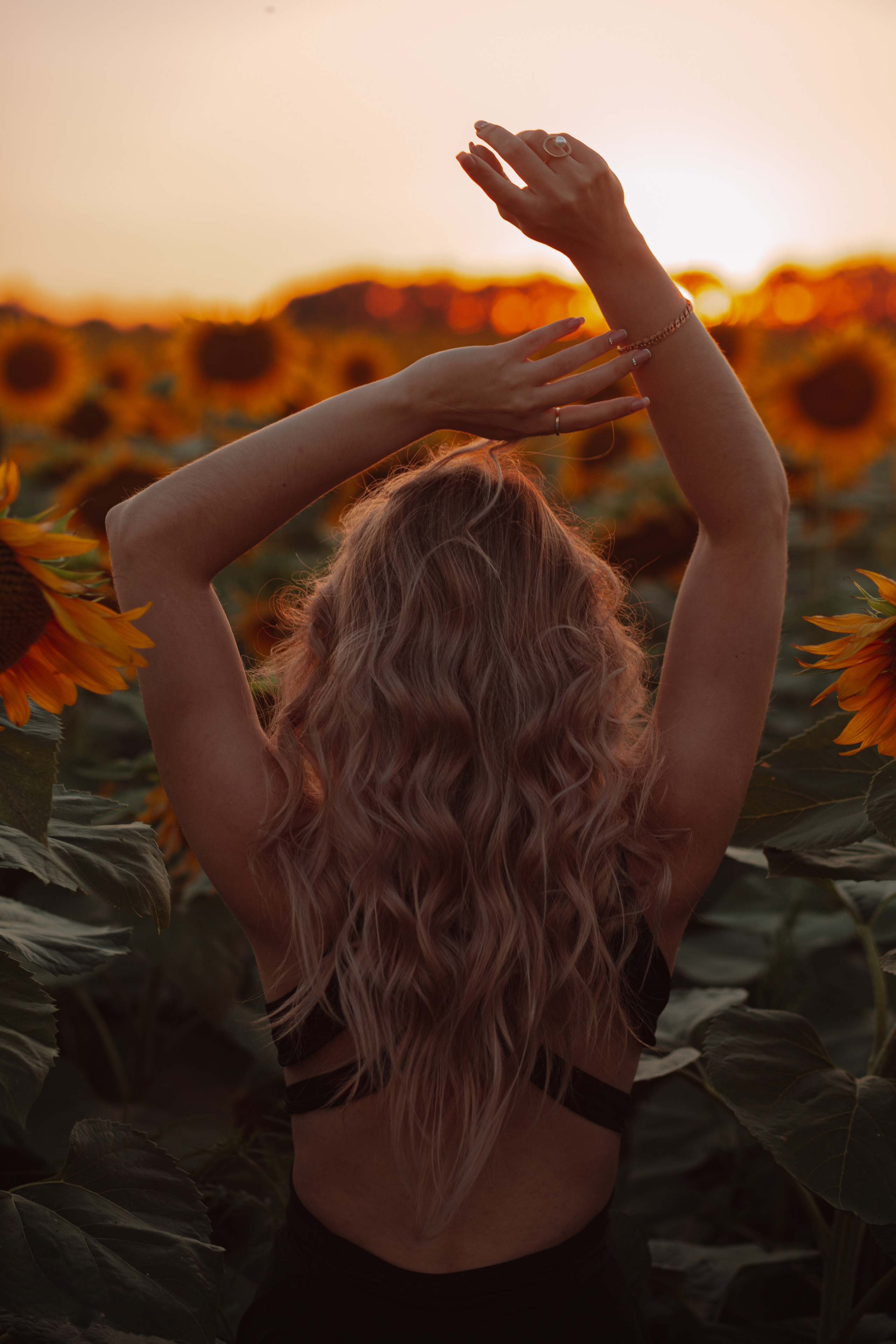 Подсолнухи…. Фотограф Неверова Катерина