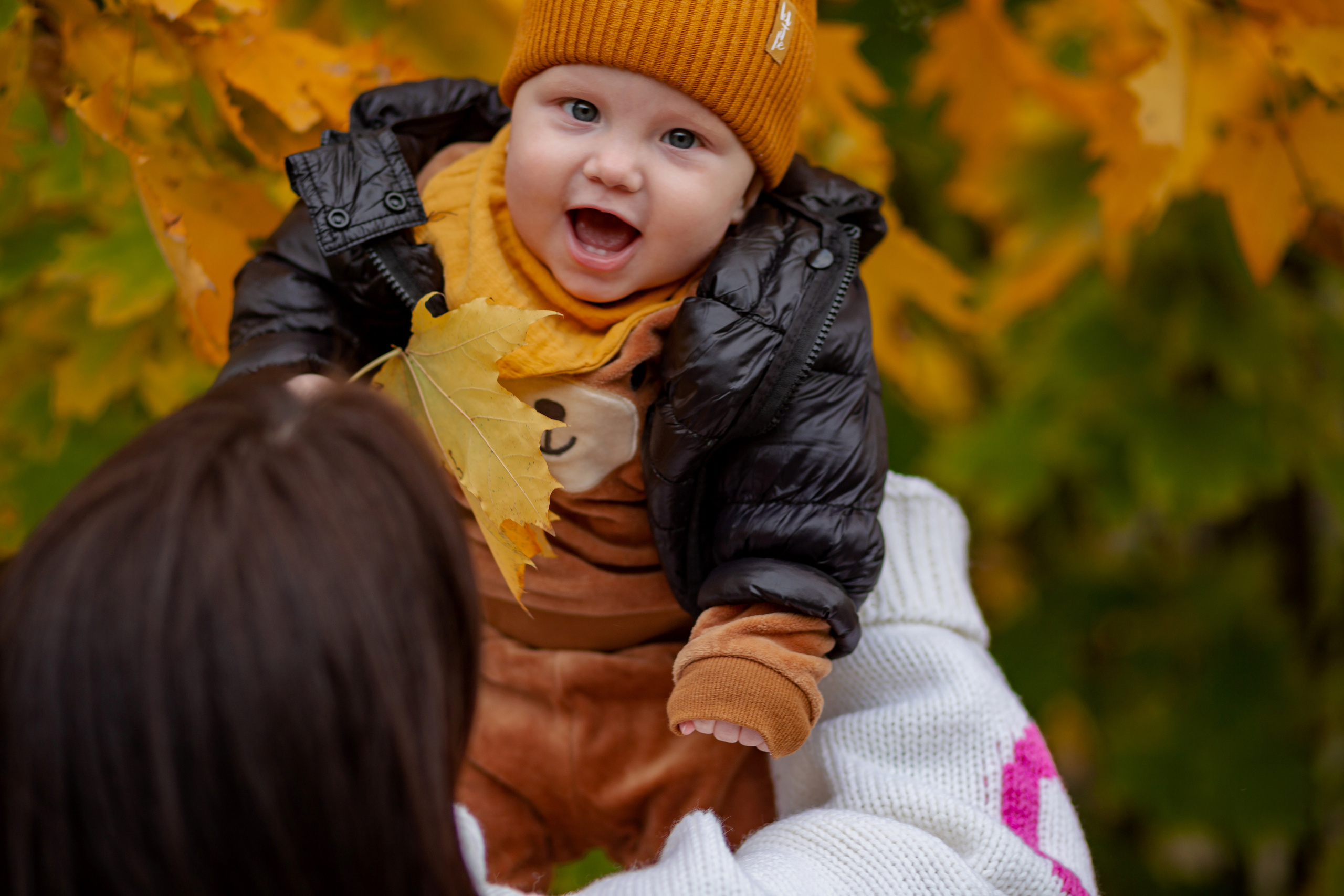 Наша осень…. Фотограф Неверова Катерина