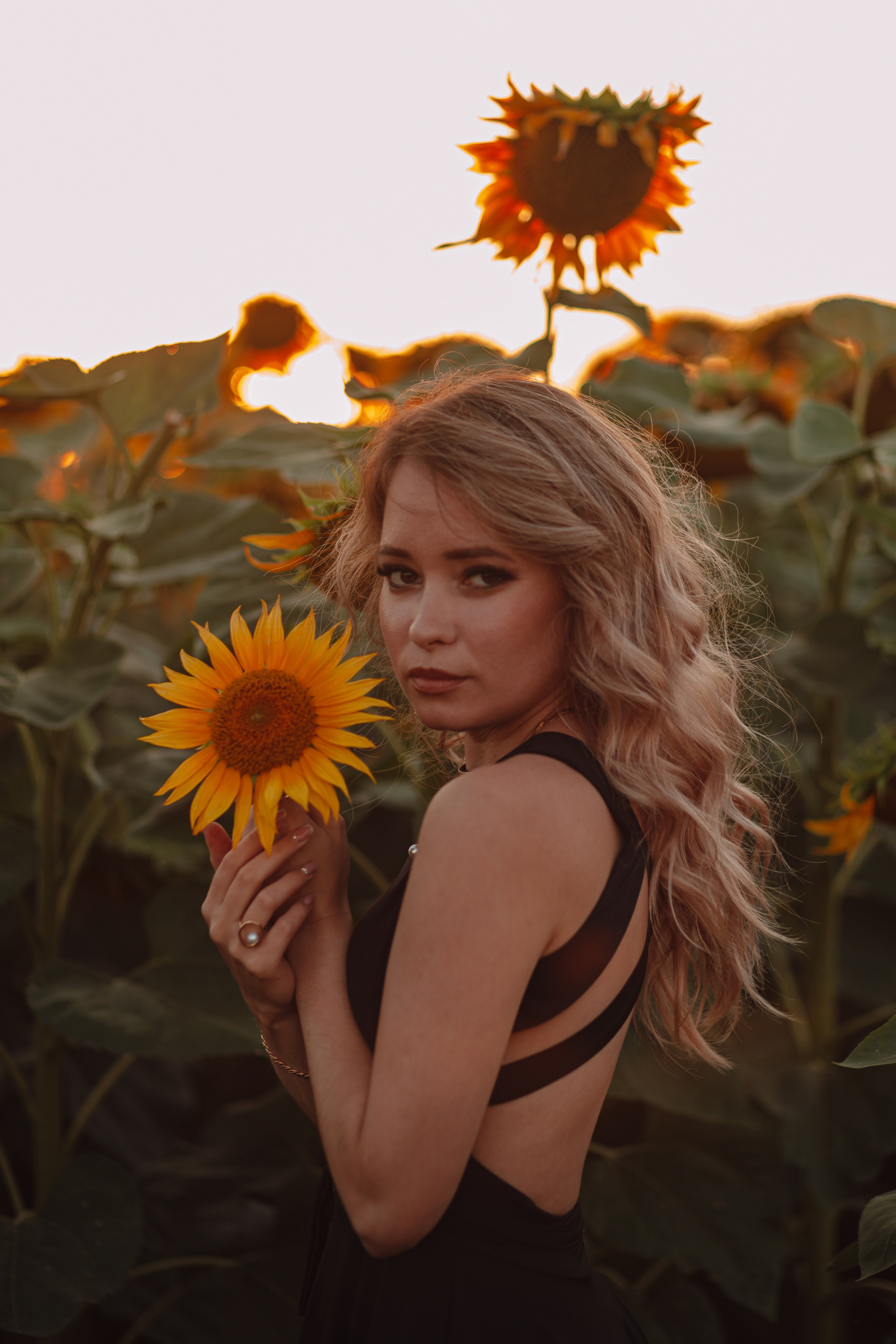 Подсолнухи…. Фотограф Неверова Катерина