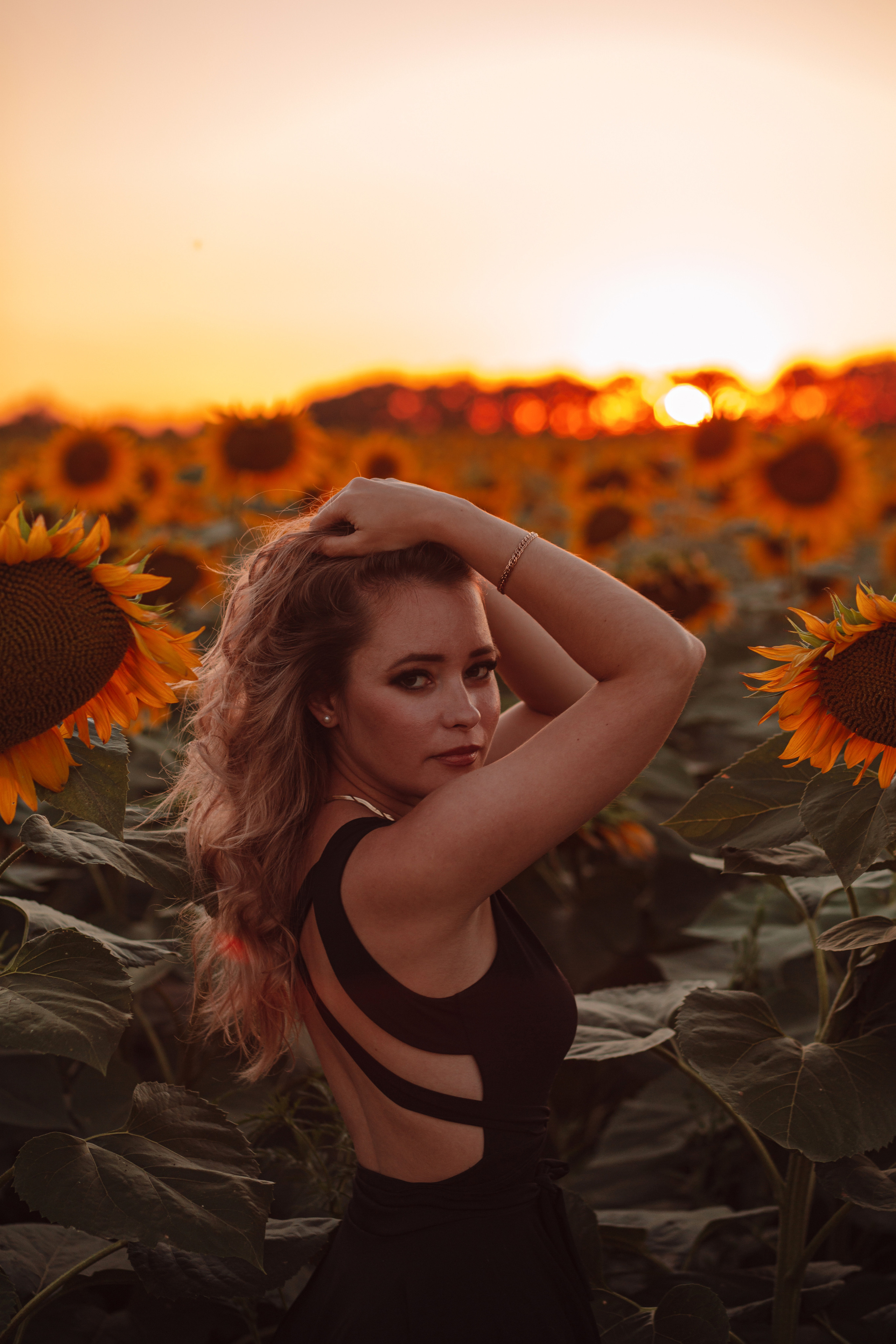 Подсолнухи…. Фотограф Неверова Катерина