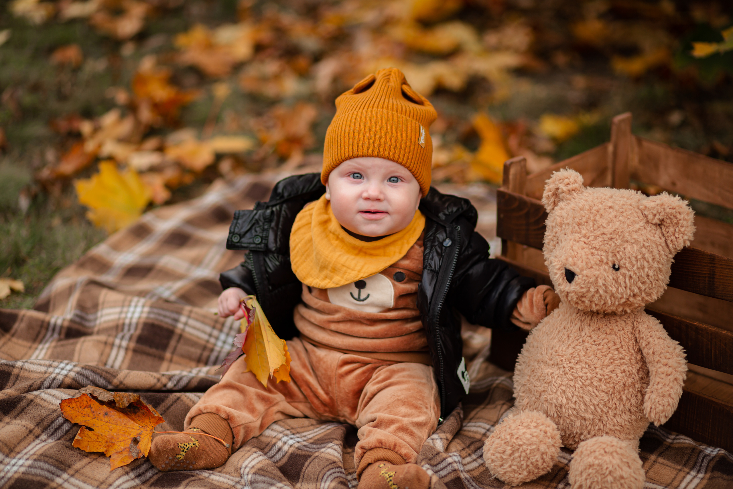 Наша осень…. Фотограф Неверова Катерина