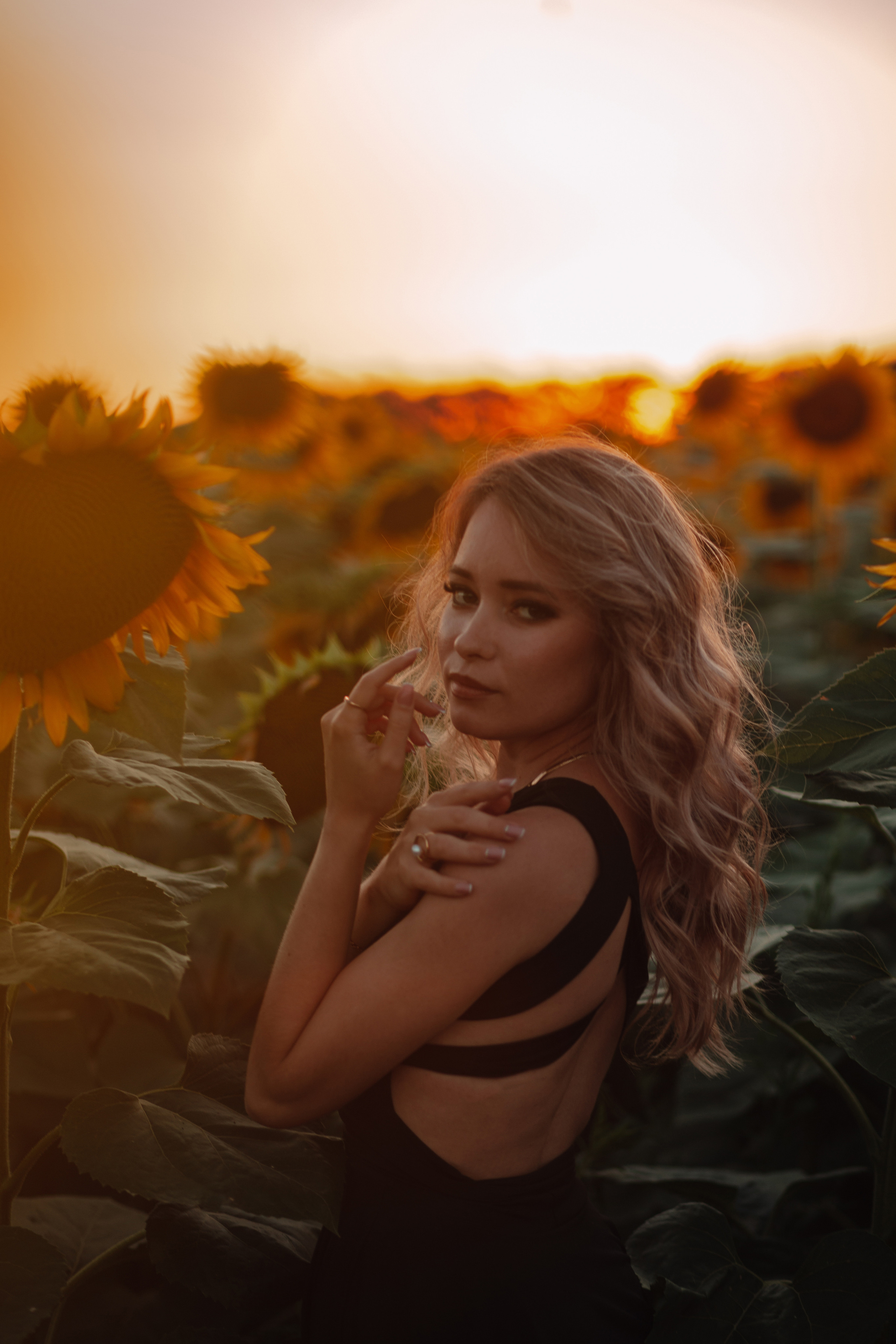 Подсолнухи…. Фотограф Неверова Катерина