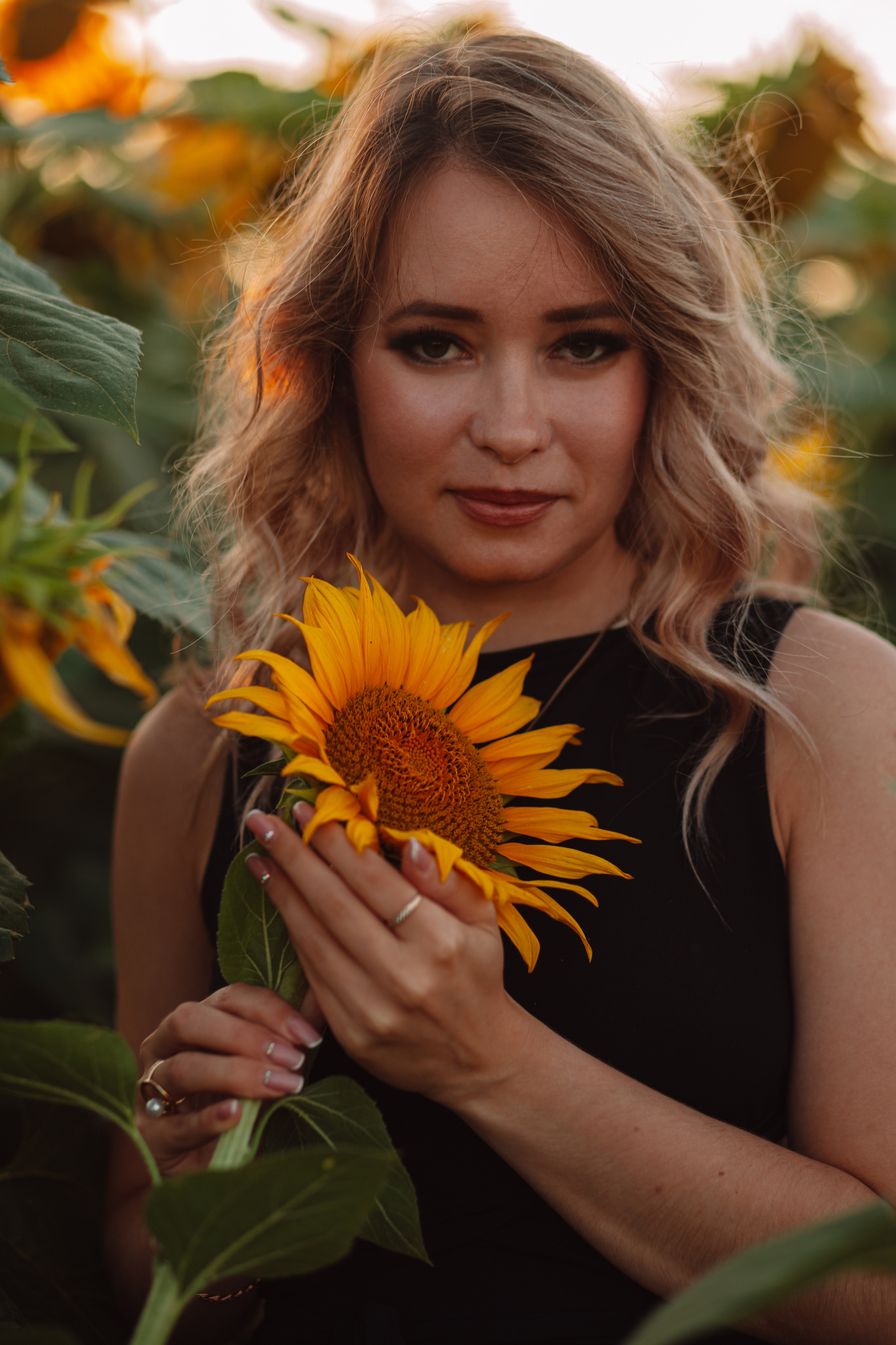 Подсолнухи…. Фотограф Неверова Катерина