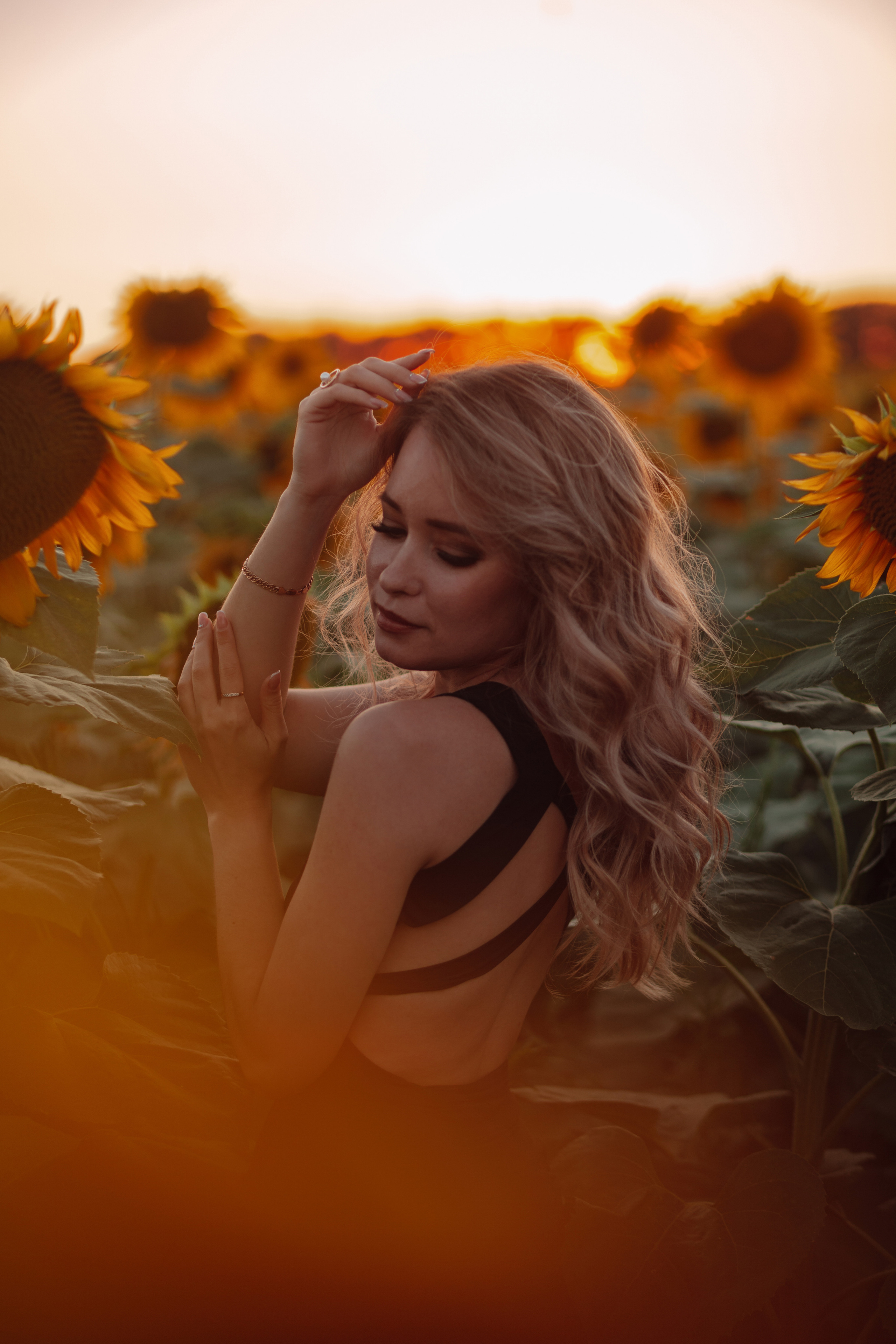 Подсолнухи…. Фотограф Неверова Катерина