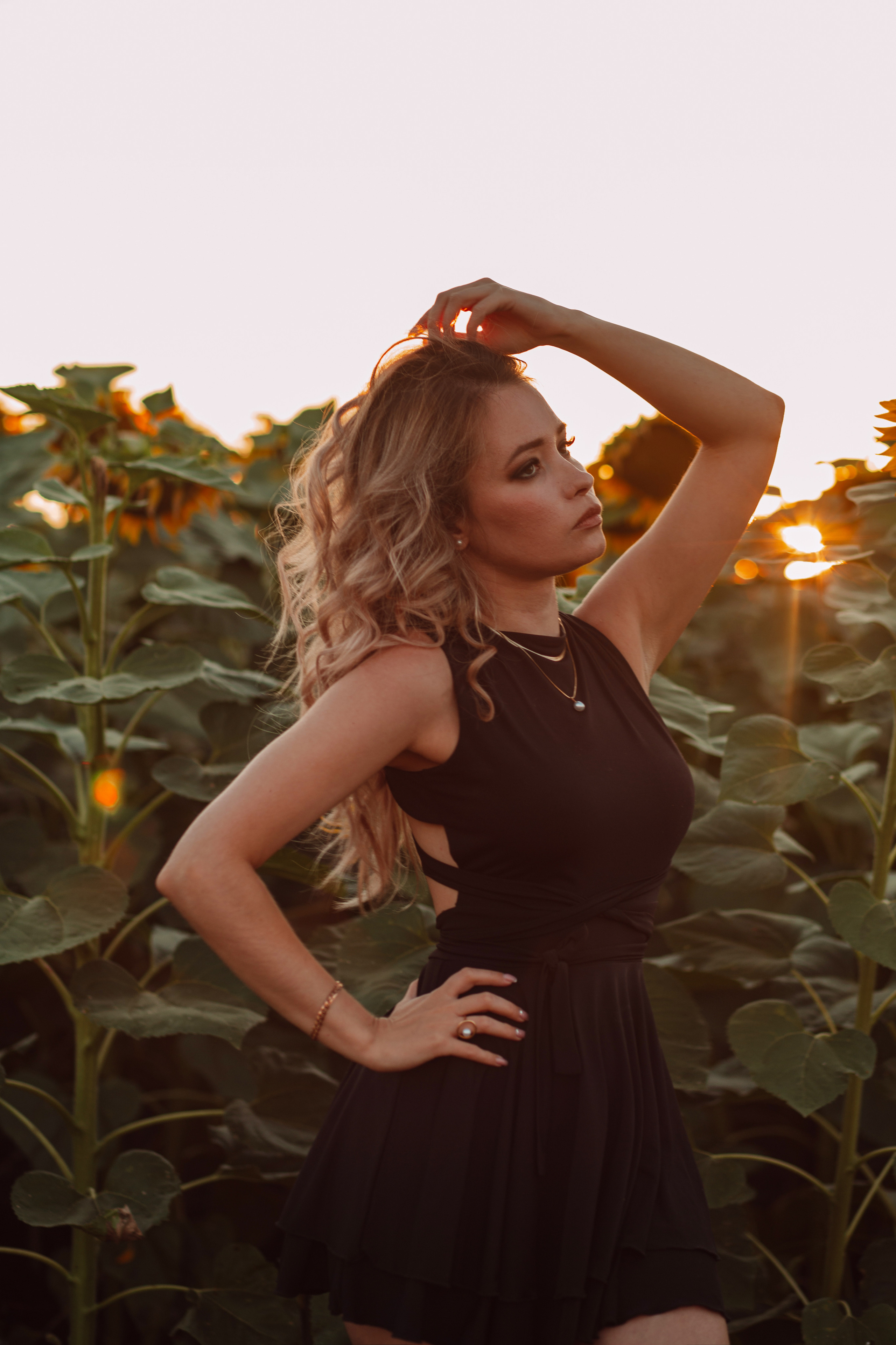 Подсолнухи…. Фотограф Неверова Катерина