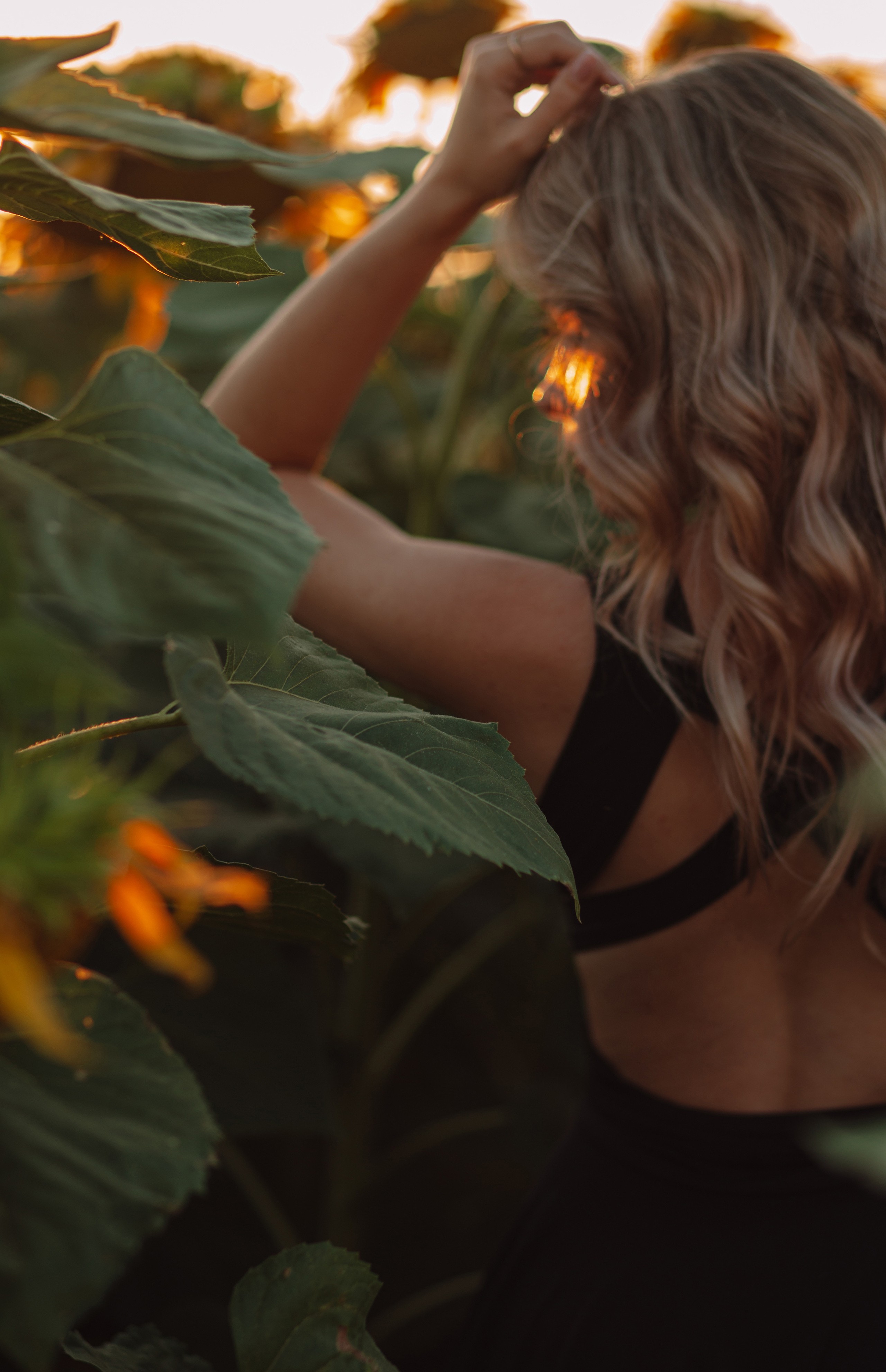 Подсолнухи…. Фотограф Неверова Катерина