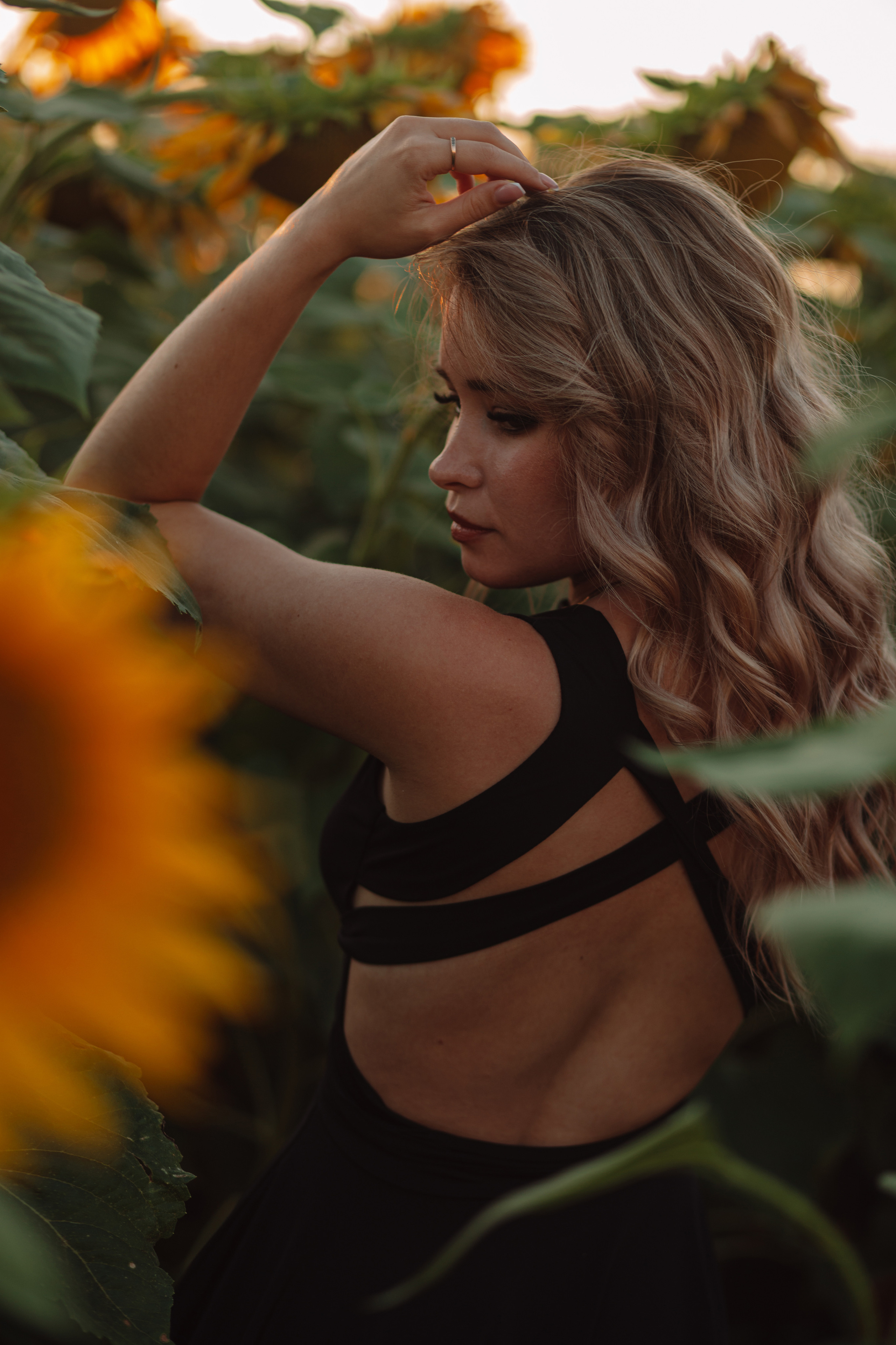 Подсолнухи…. Фотограф Неверова Катерина