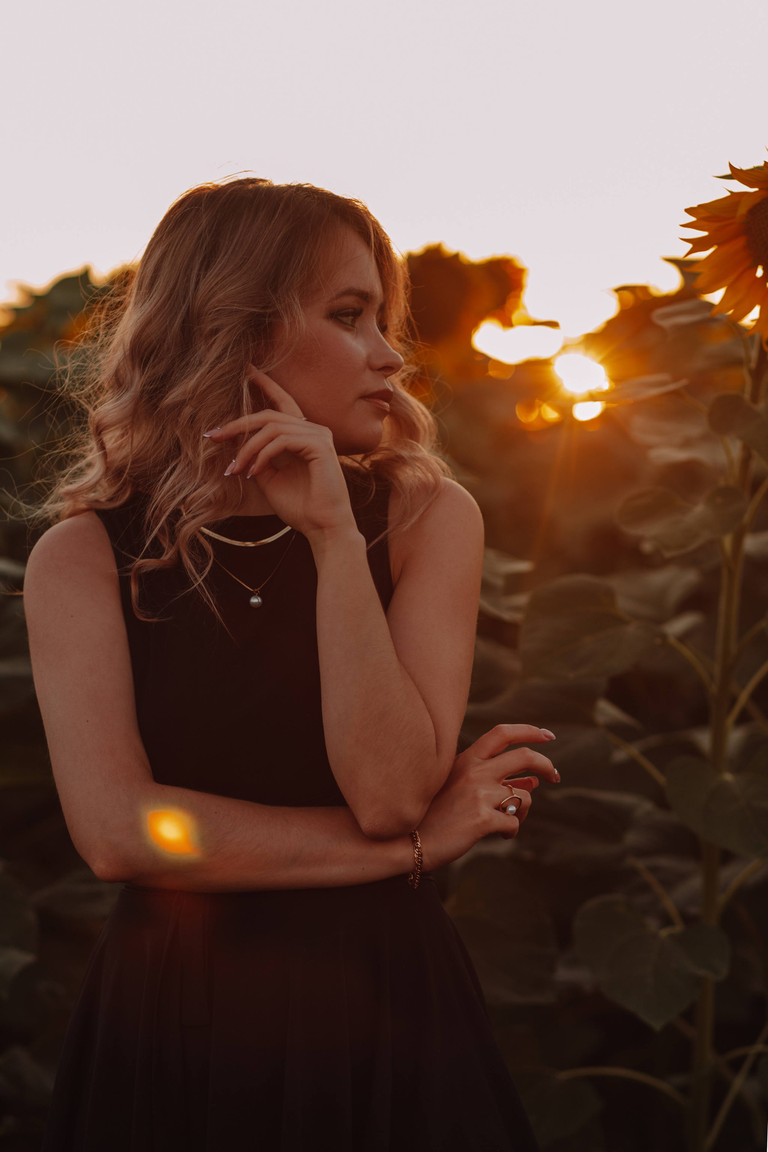 Подсолнухи…. Фотограф Неверова Катерина